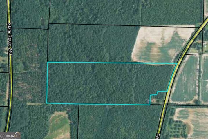 unimproved land for sale at 0 Coogle Road, Oglethorpe, GA 31068 — photo 10