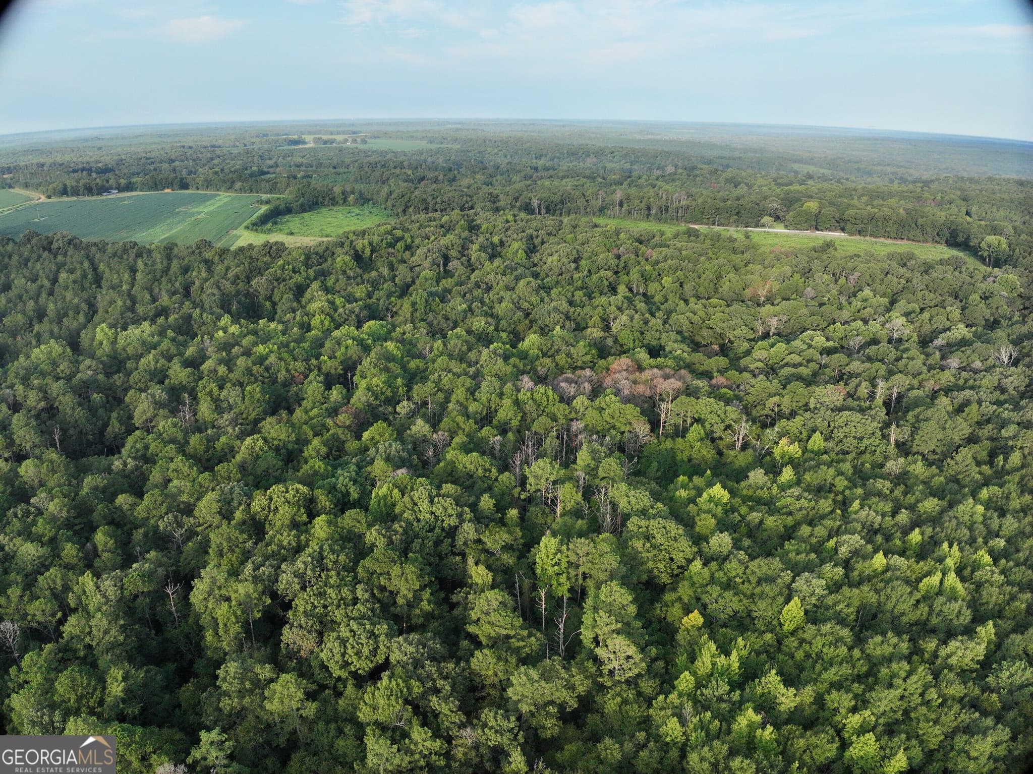 unimproved land for sale at 0 Coogle Road, Oglethorpe, GA 31068 — photo 8