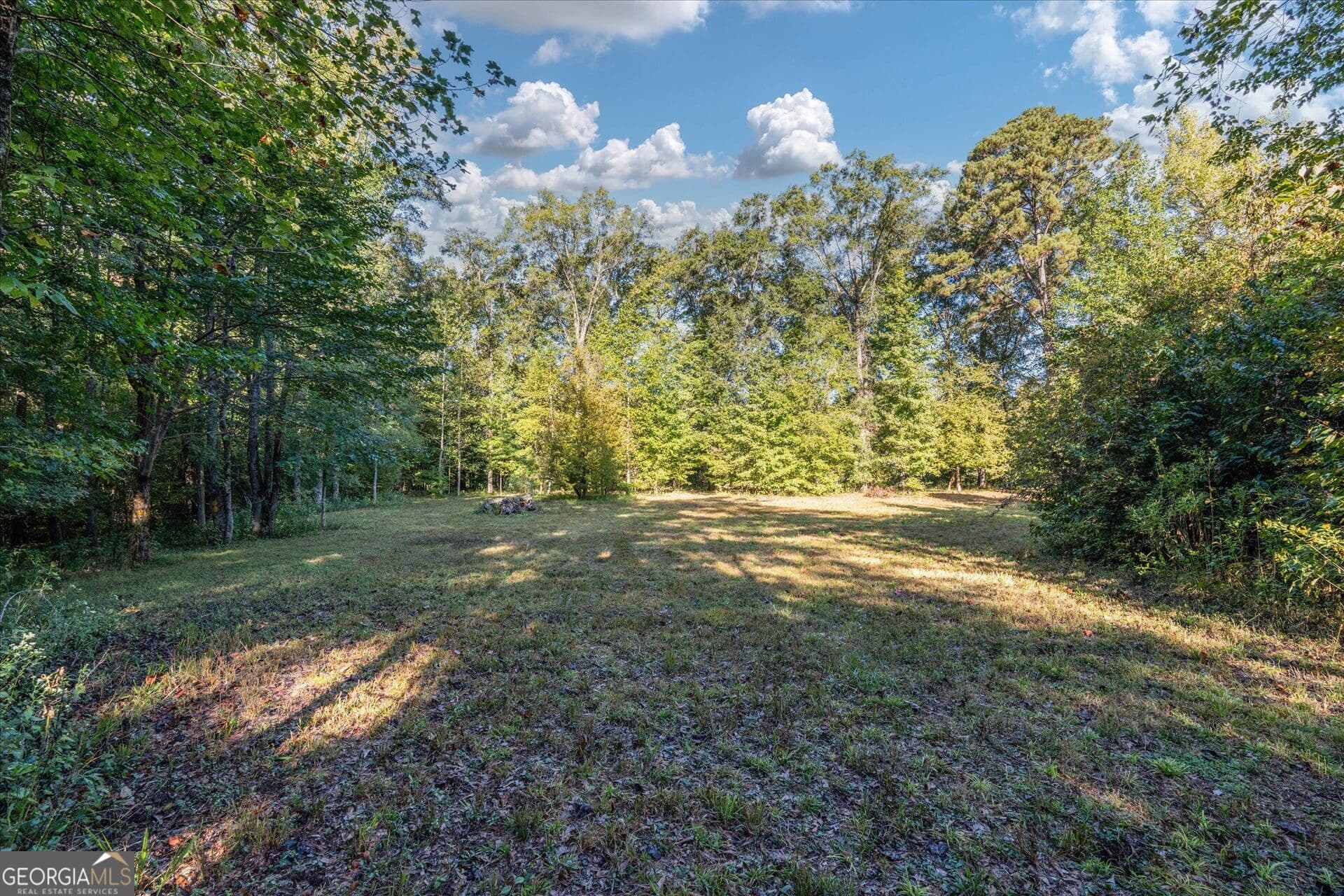 unimproved land for sale at 1993 Ferry Road, Franklin, GA 30217 — photo 6