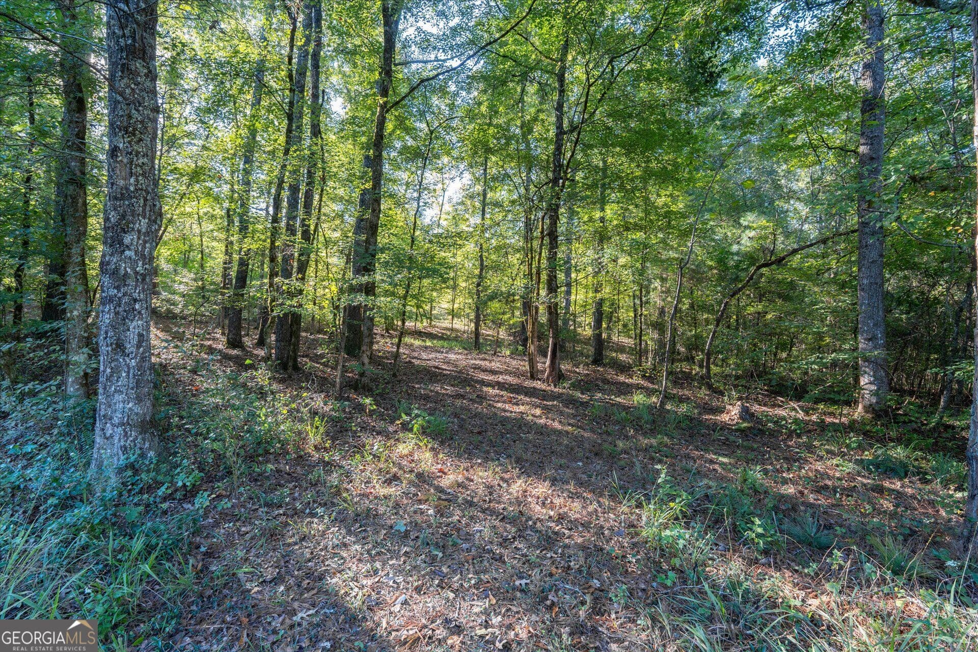 unimproved land for sale at 1993 Ferry Road, Franklin, GA 30217 — photo 7