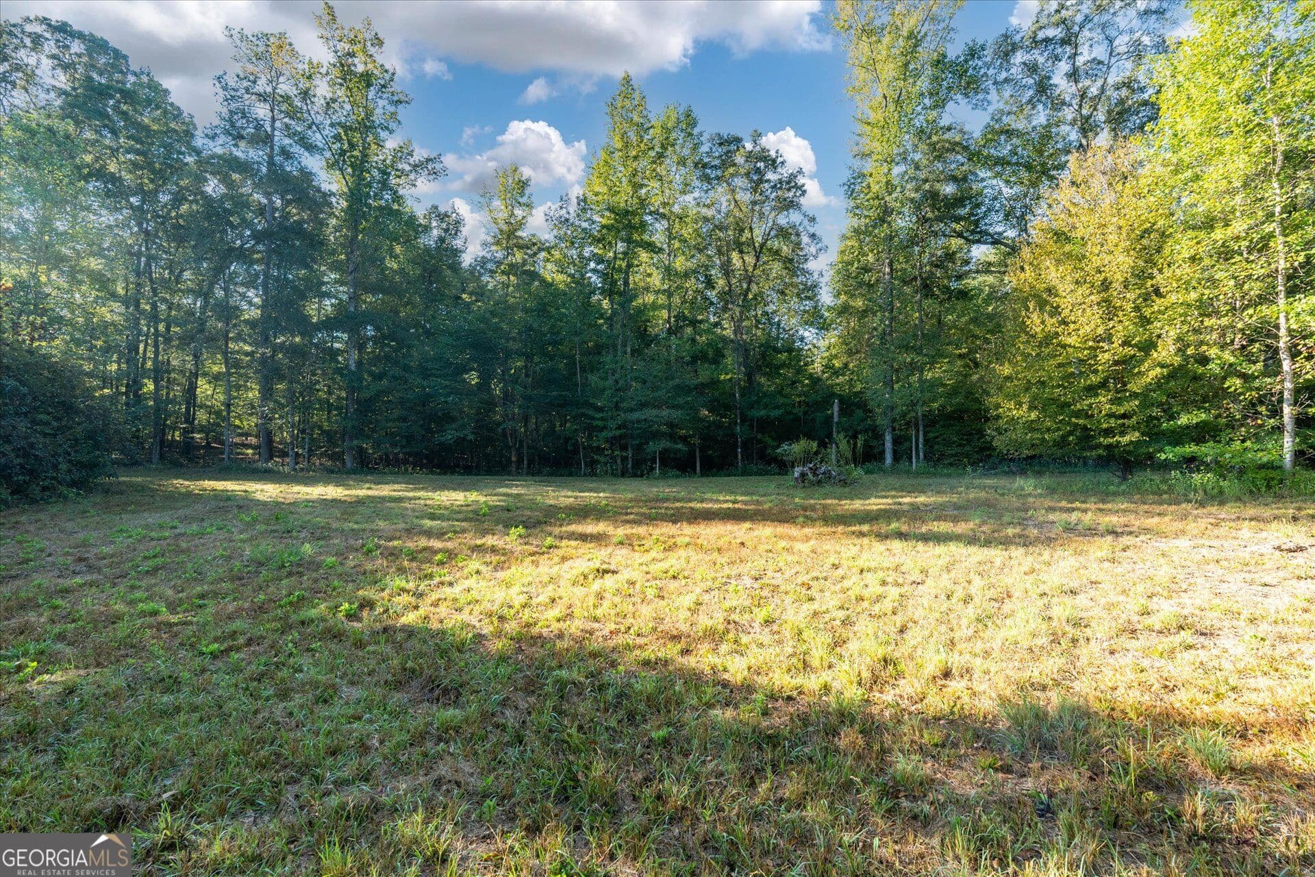 unimproved land for sale at 1993 Ferry Road, Franklin, GA 30217 — photo 3