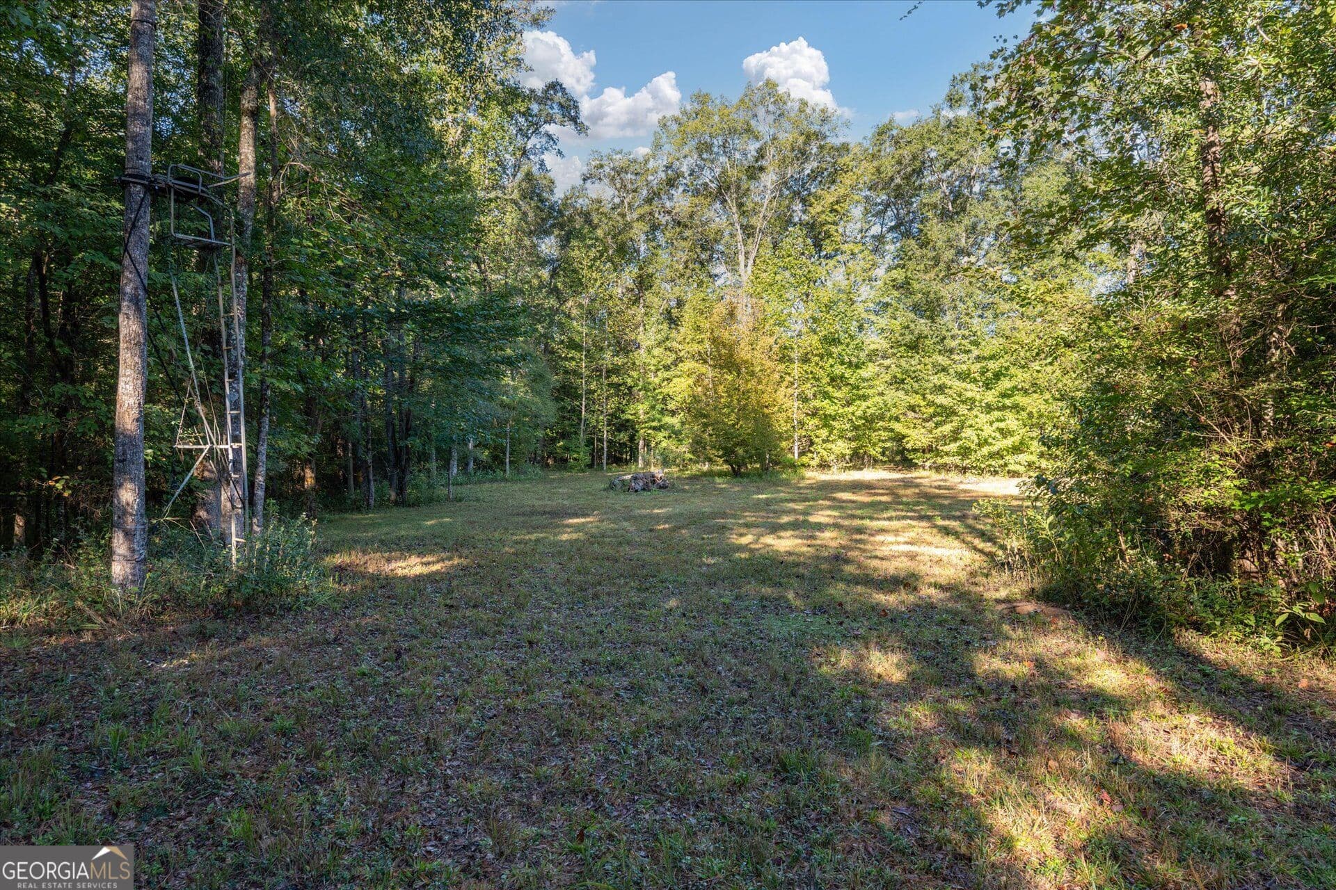 unimproved land for sale at 1993 Ferry Road, Franklin, GA 30217 — photo 5