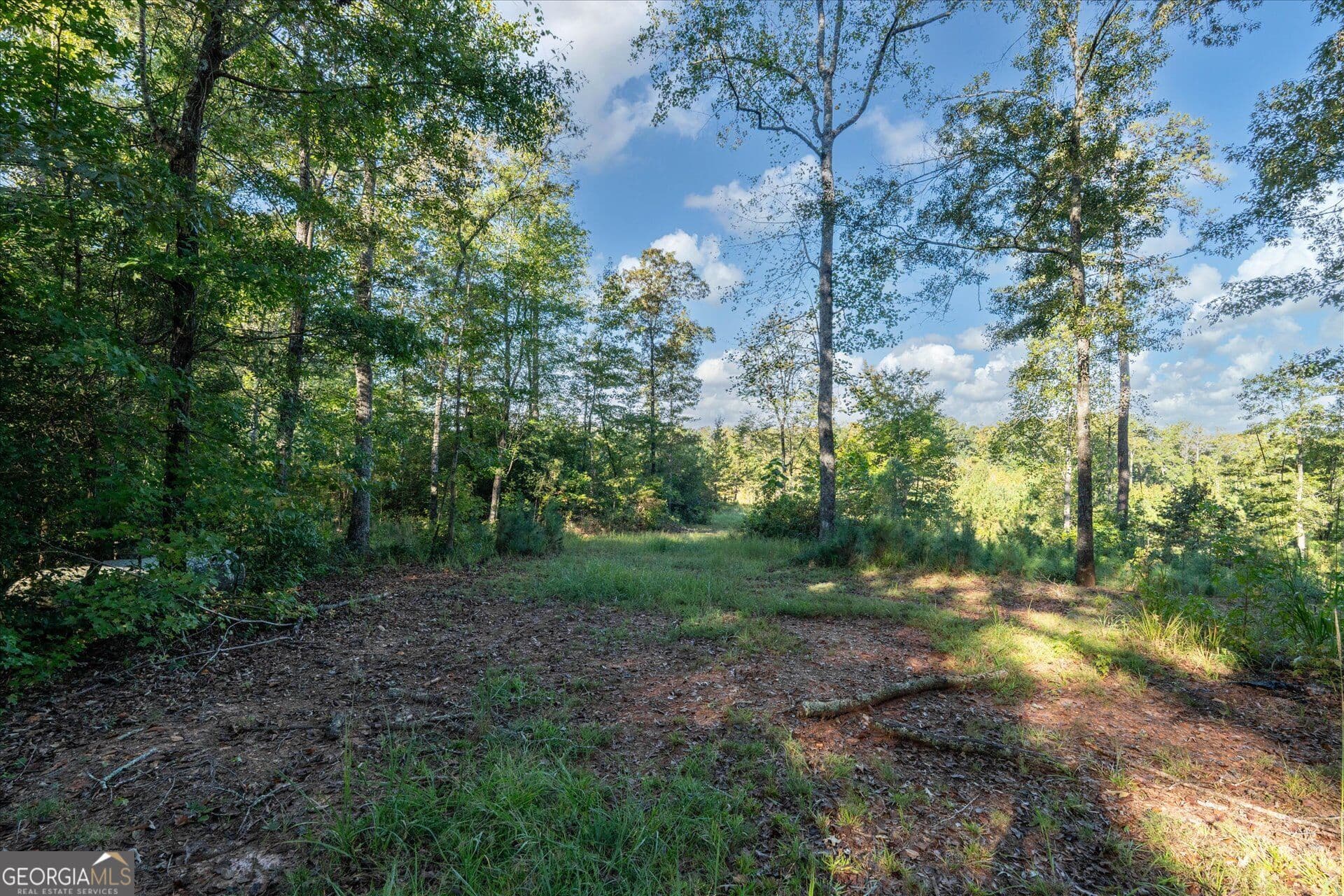 unimproved land for sale at 1993 Ferry Road, Franklin, GA 30217 — photo 9