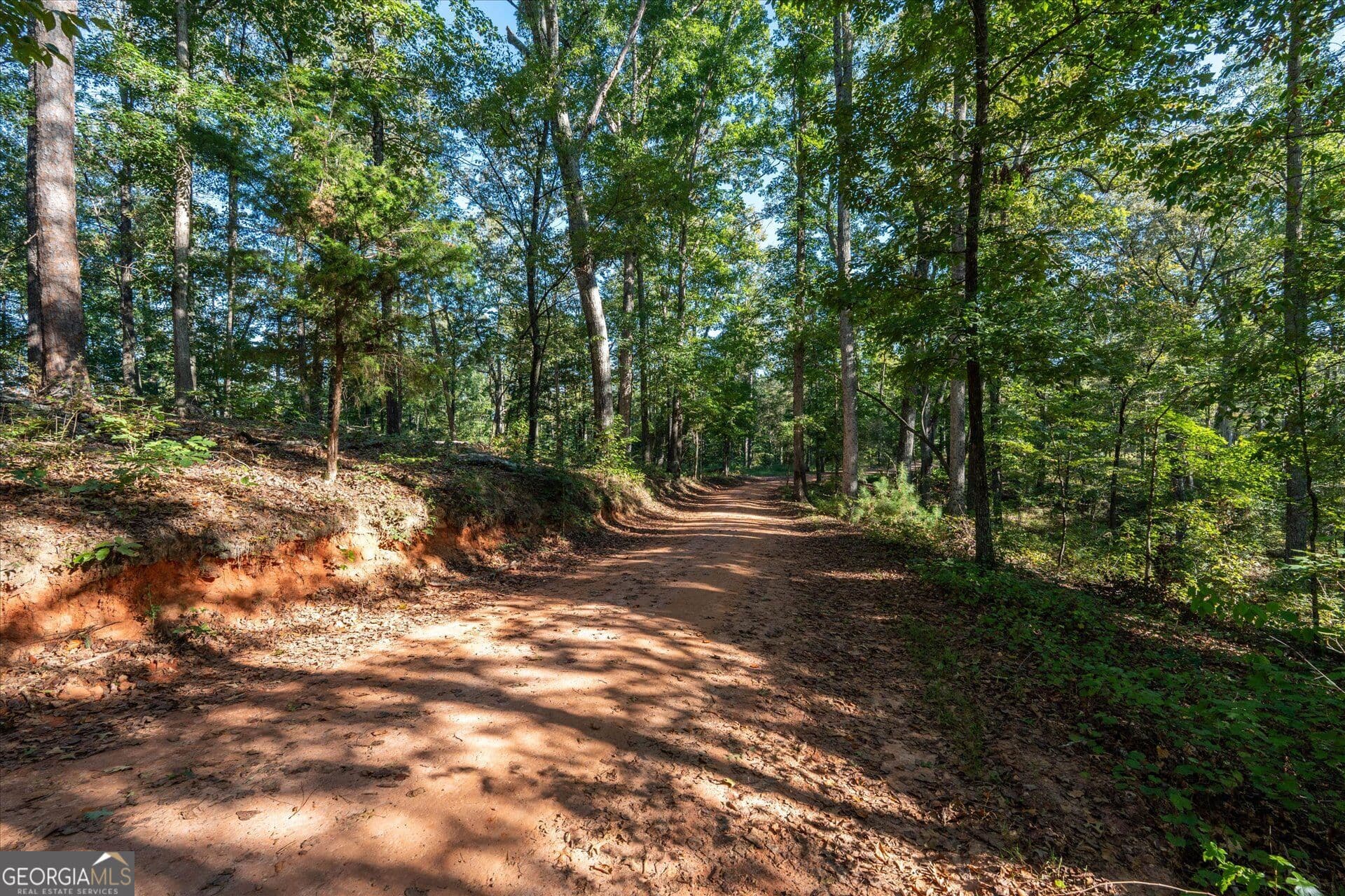 unimproved land for sale at 1993 Ferry Road, Franklin, GA 30217 — photo 10