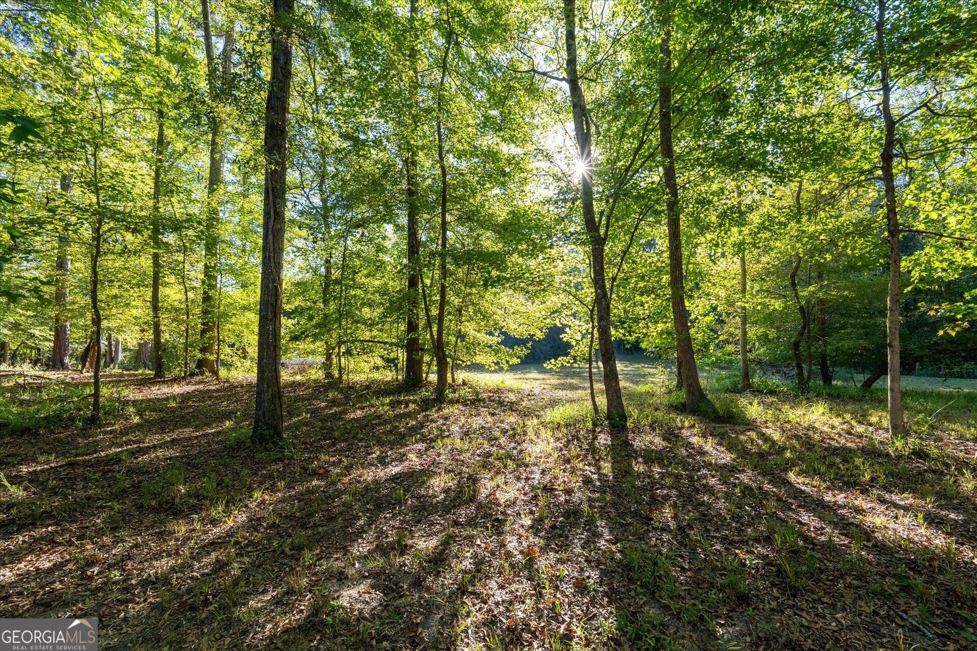 unimproved land for sale at 1993 Ferry Road, Franklin, GA 30217 — photo 4