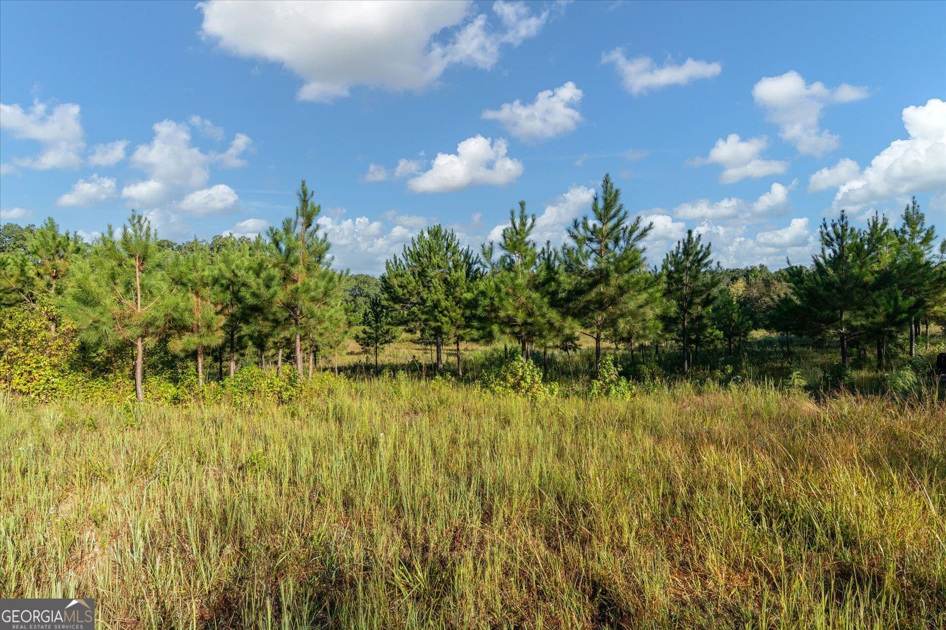 unimproved land for sale at 1993 Ferry Road, Franklin, GA 30217 — photo 8