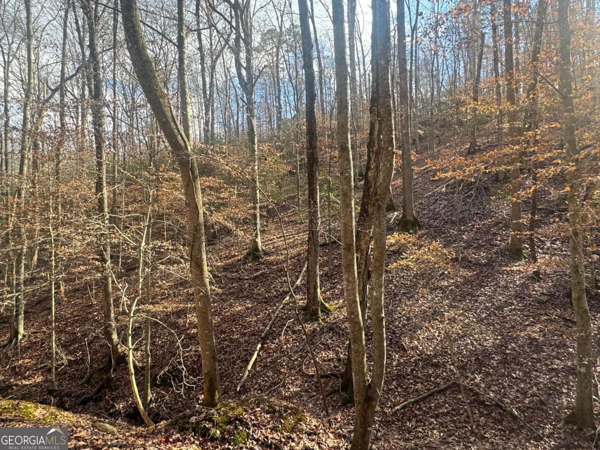 residential lot for sale at LOT 2749 Nimrod Court, Ellijay, GA 30540 — photo 2