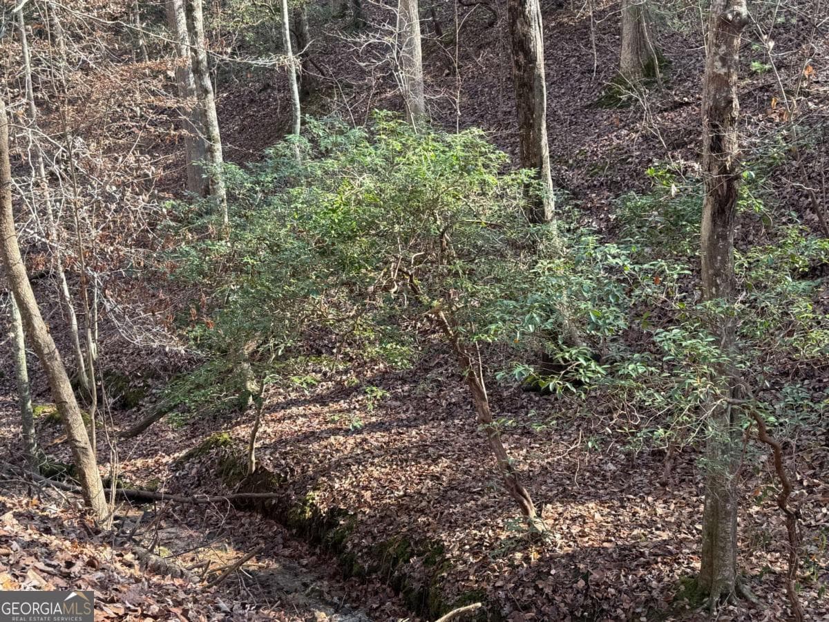 residential lot for sale at LOT 2749 Nimrod Court, Ellijay, GA 30540 — photo 6