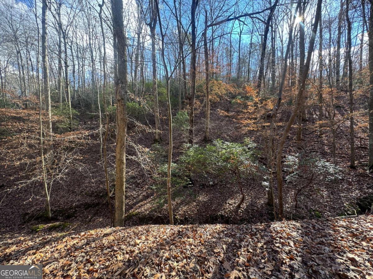 residential lot for sale at LOT 2749 Nimrod Court, Ellijay, GA 30540 — photo 7