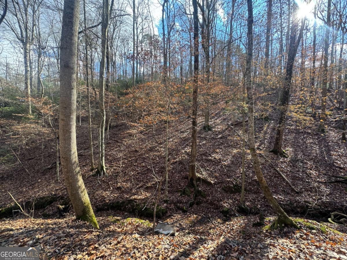 residential lot for sale at LOT 2749 Nimrod Court, Ellijay, GA 30540 — photo 3