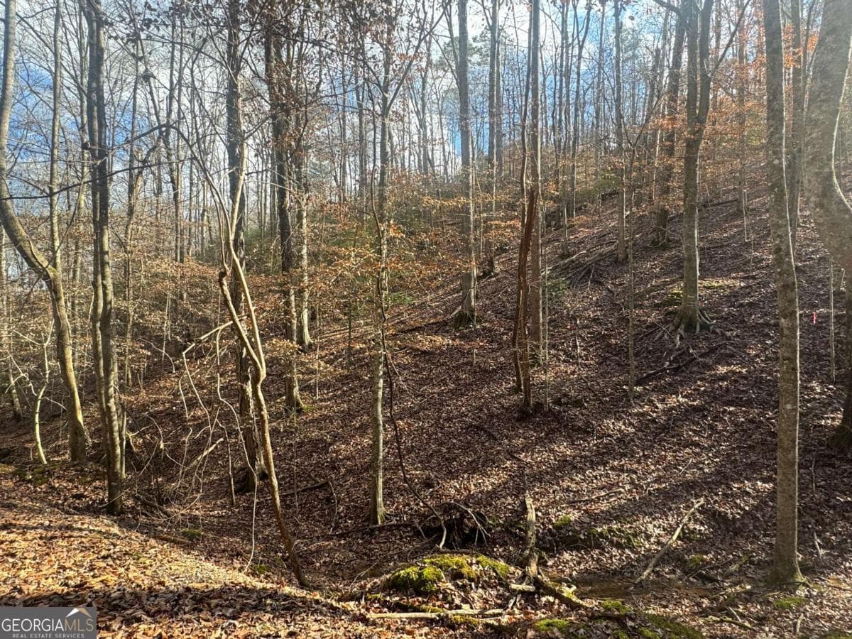 residential lot for sale at LOT 2749 Nimrod Court, Ellijay, GA 30540 — photo 1 of 18