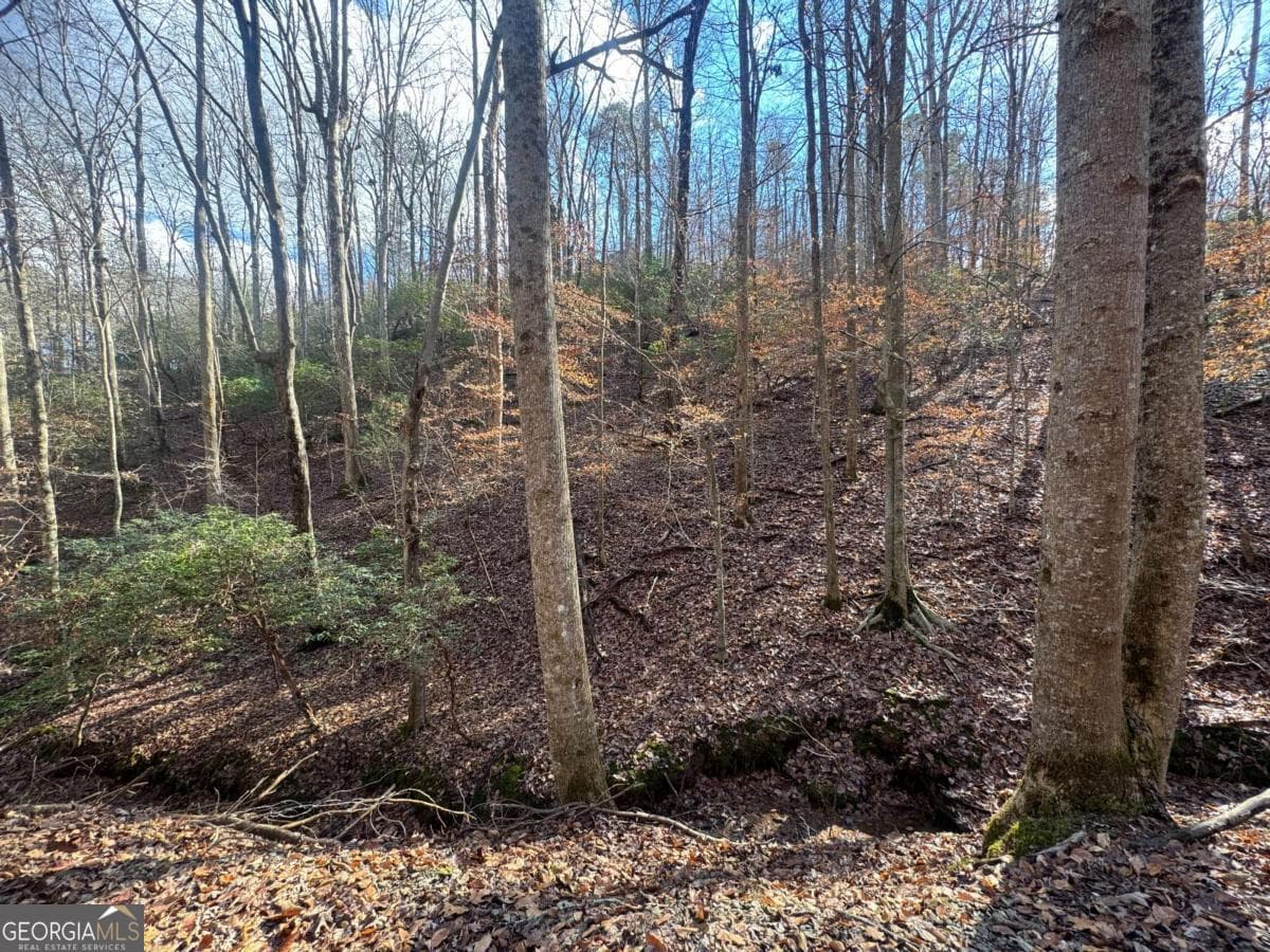 residential lot for sale at LOT 2749 Nimrod Court, Ellijay, GA 30540 — photo 5