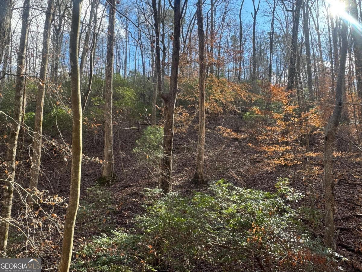 residential lot for sale at LOT 2749 Nimrod Court, Ellijay, GA 30540 — photo 9