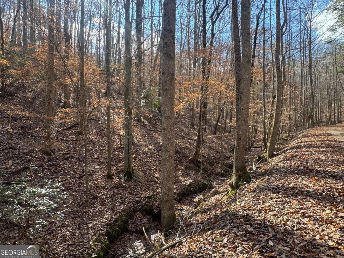 residential lot for sale at LOT 2749 Nimrod Court, Ellijay, GA 30540 — photo 10