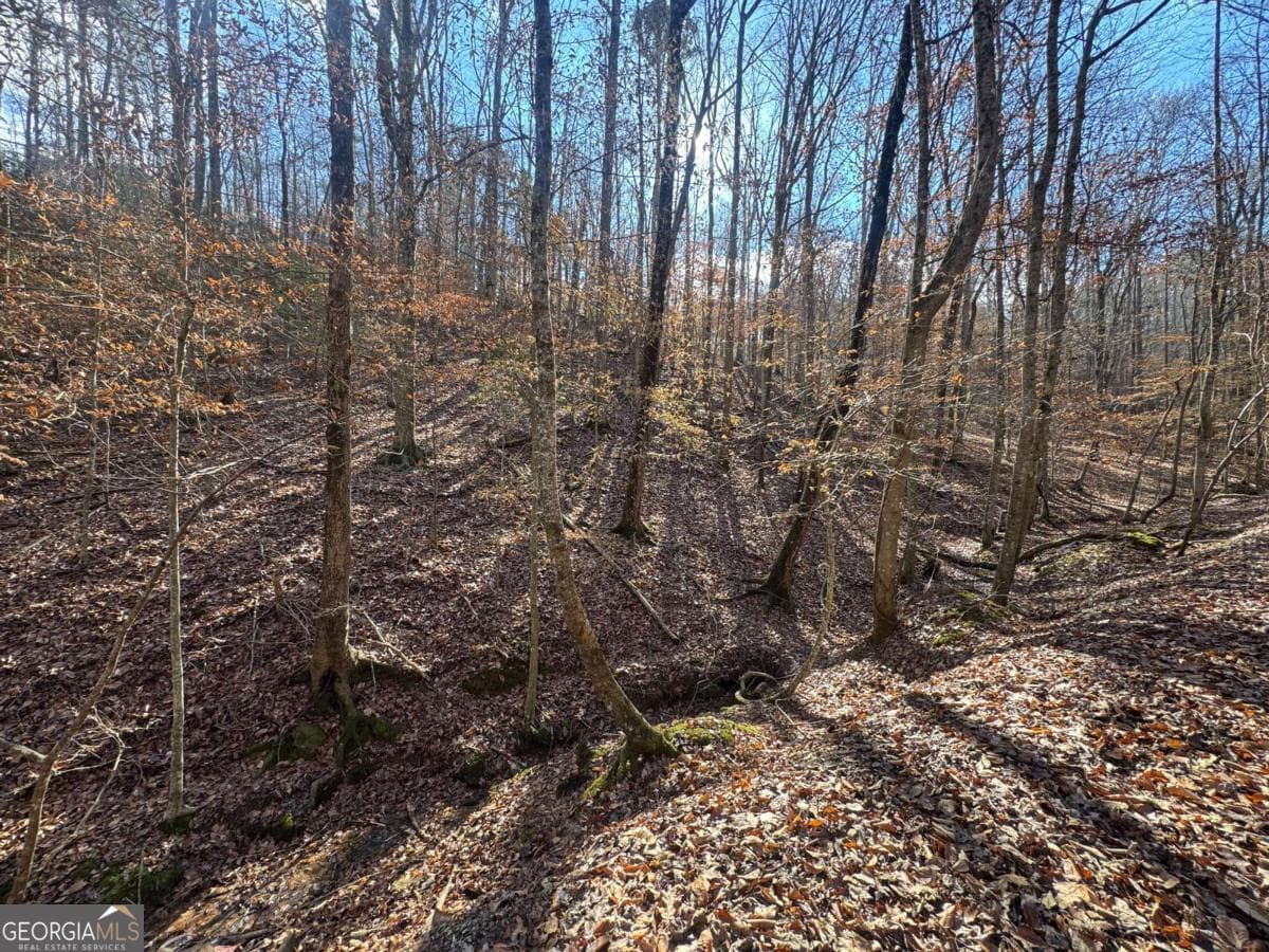 residential lot for sale at LOT 2749 Nimrod Court, Ellijay, GA 30540 — photo 4