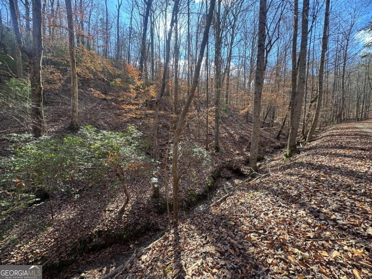 residential lot for sale at LOT 2749 Nimrod Court, Ellijay, GA 30540 — photo 8