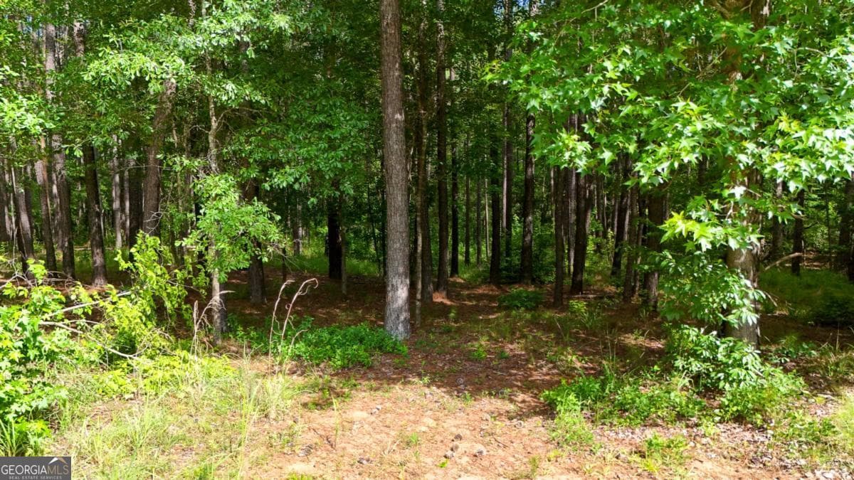 residential lot for sale at 331 Pebble Hollow Drive, Milledgeville, GA 31061 — photo 3