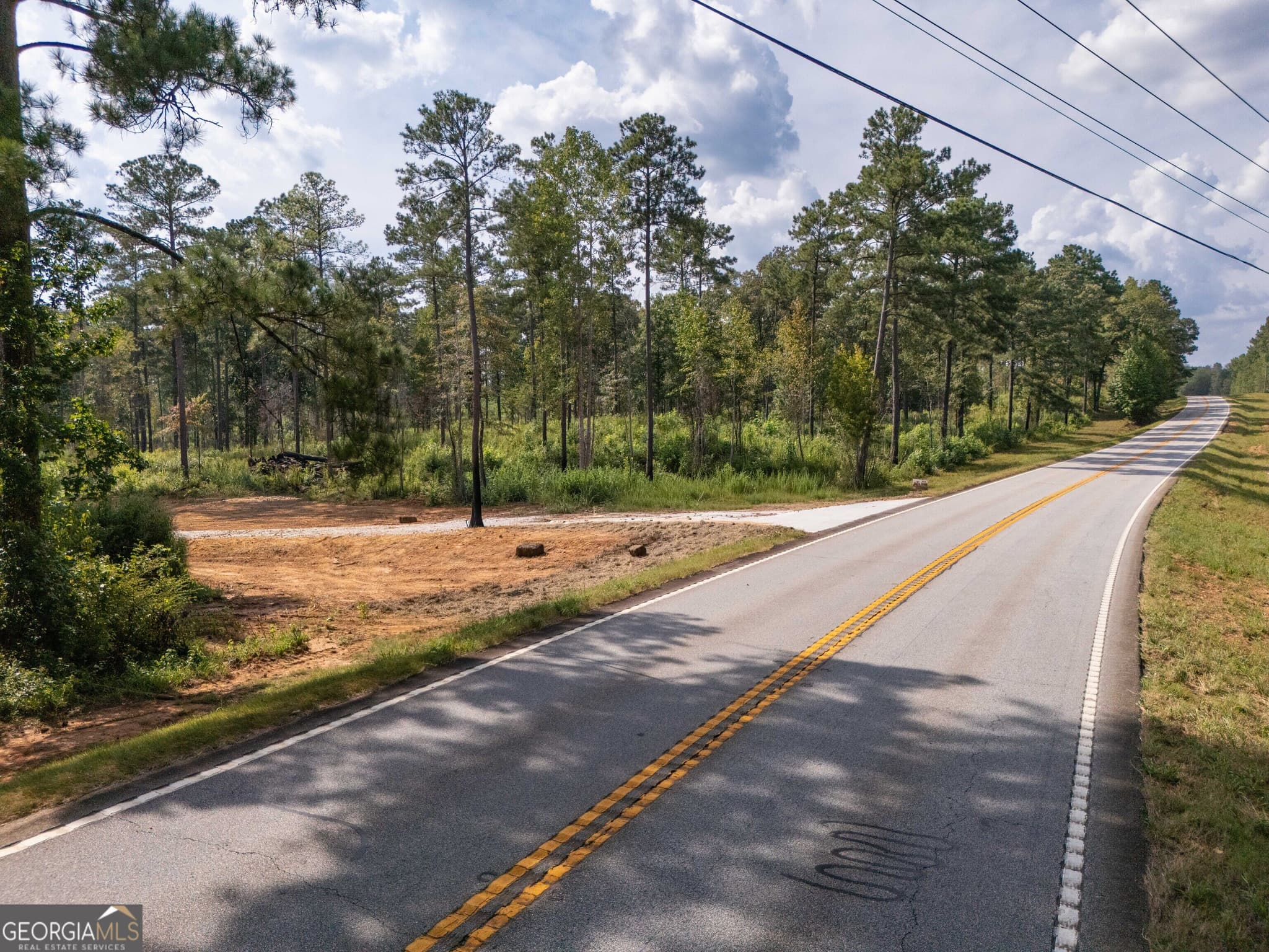 estate lot for sale at 0 Hwy 100 3 SADIE PLACE, Franklin, GA 30217 — photo 6