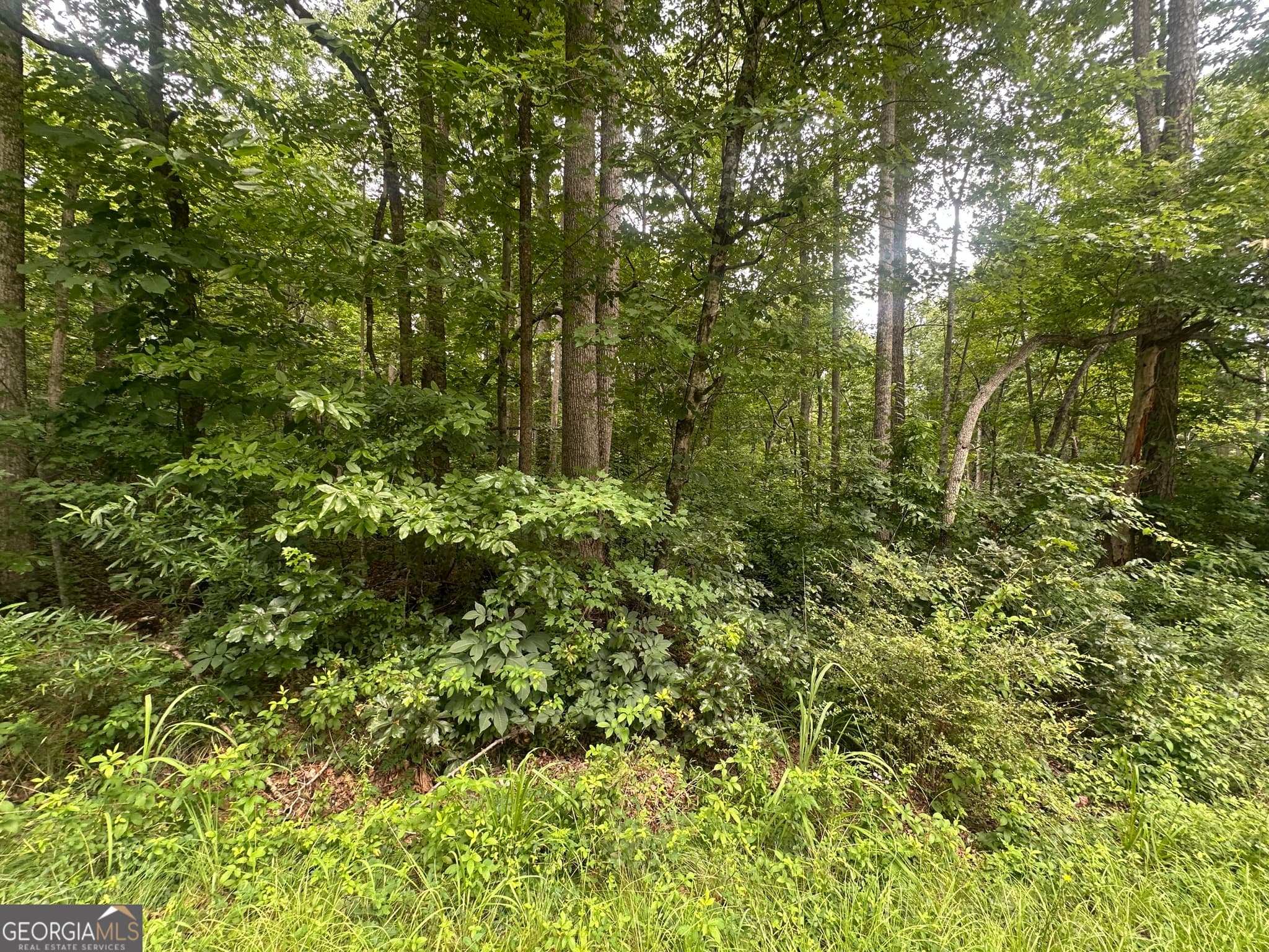 unimproved land for sale at 5281 N Forest Boulevard, Gainesville, GA 30506 — photo 2