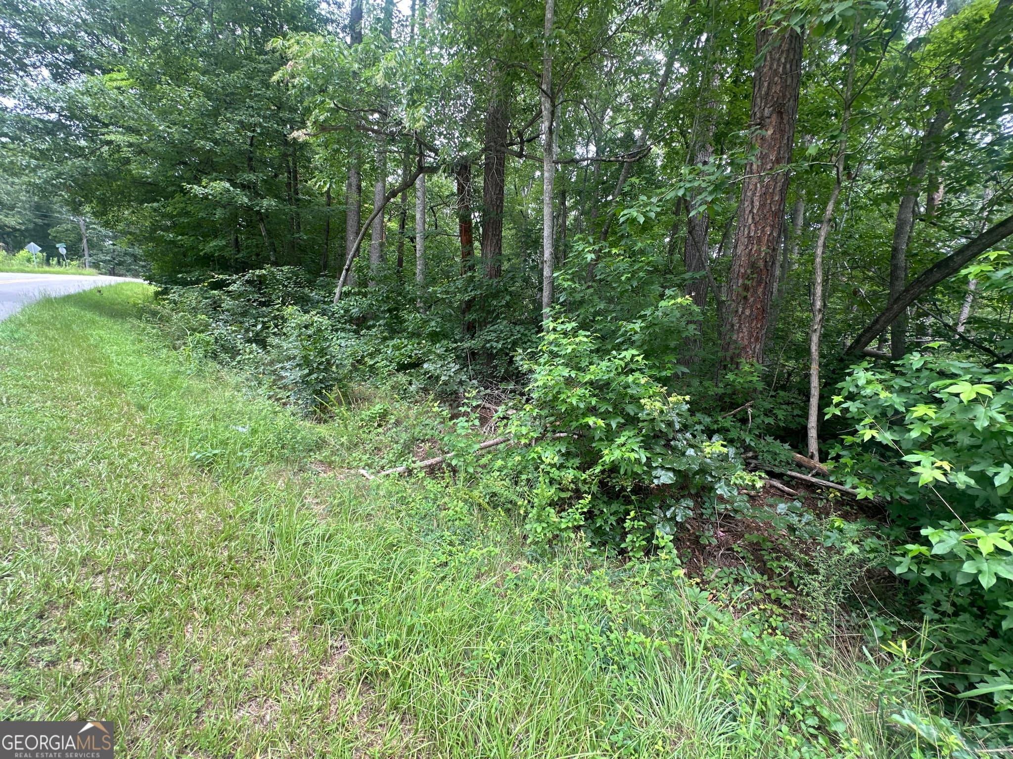 unimproved land for sale at 5281 N Forest Boulevard, Gainesville, GA 30506 — photo 6