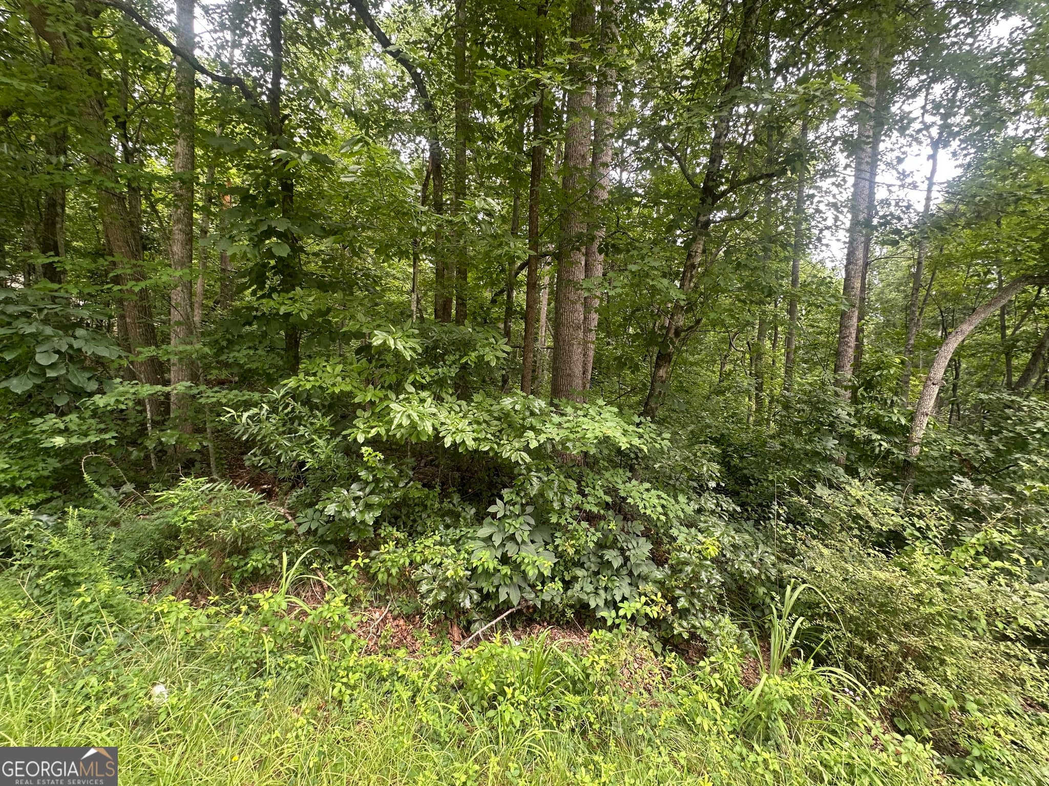 unimproved land for sale at 5281 N Forest Boulevard, Gainesville, GA 30506 — photo 3