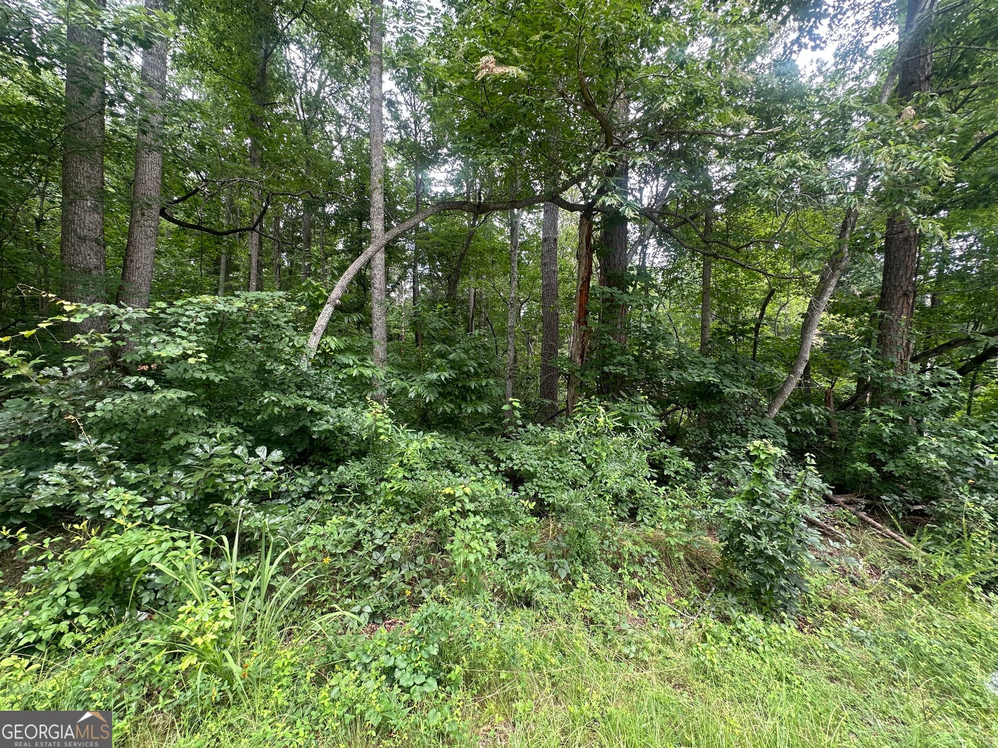 unimproved land for sale at 5281 N Forest Boulevard, Gainesville, GA 30506 — photo 4