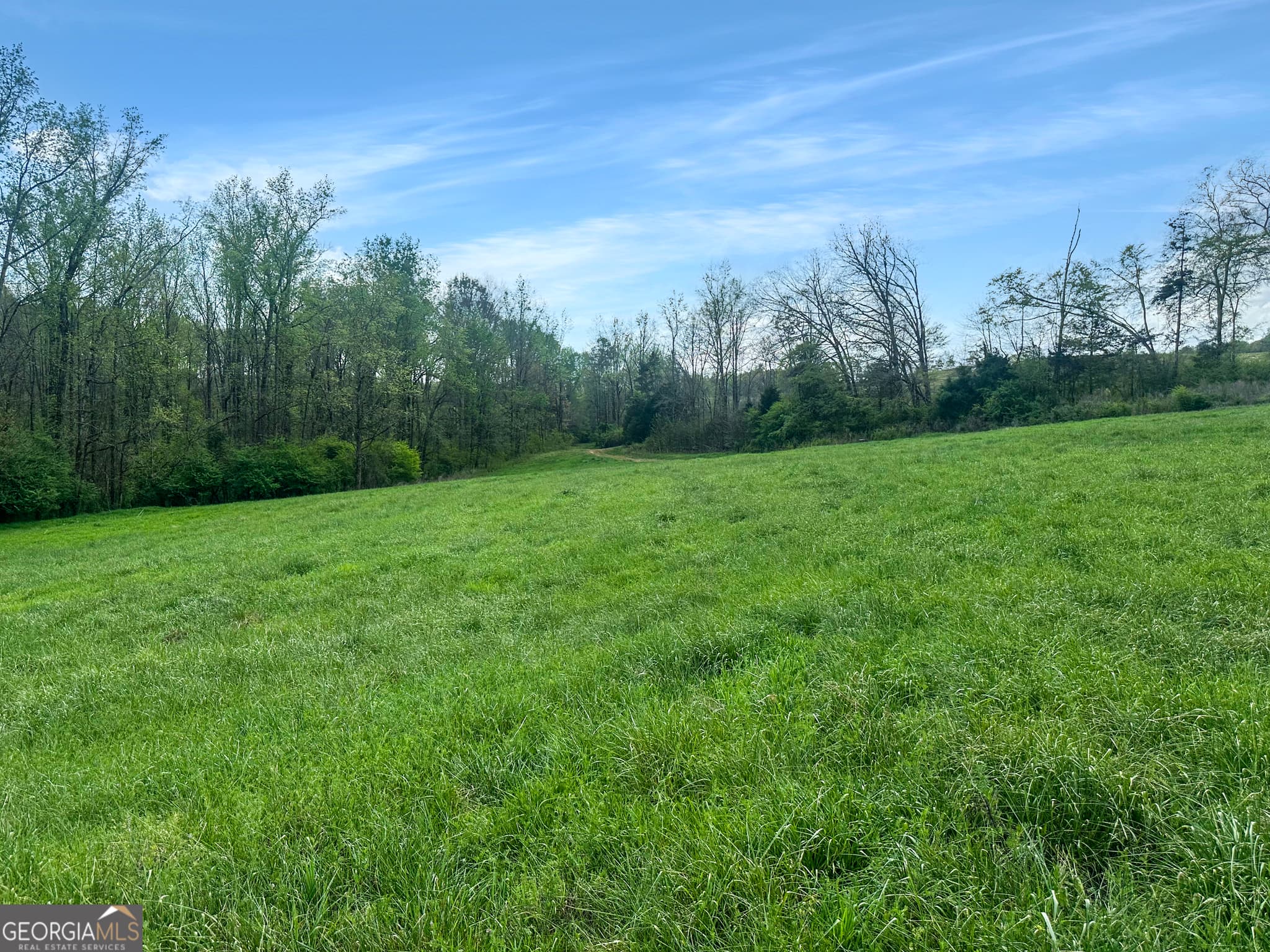agriculture for sale at 0 Gooseneck Road, Eastanollee, GA 30538 — photo 2
