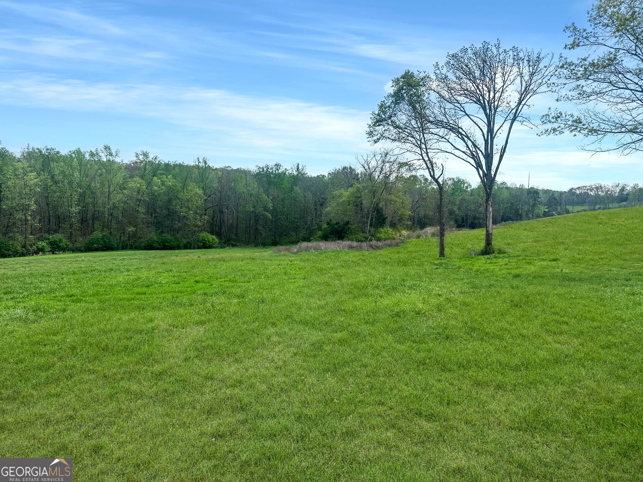 agriculture for sale at 0 Gooseneck Road, Eastanollee, GA 30538 — photo 3
