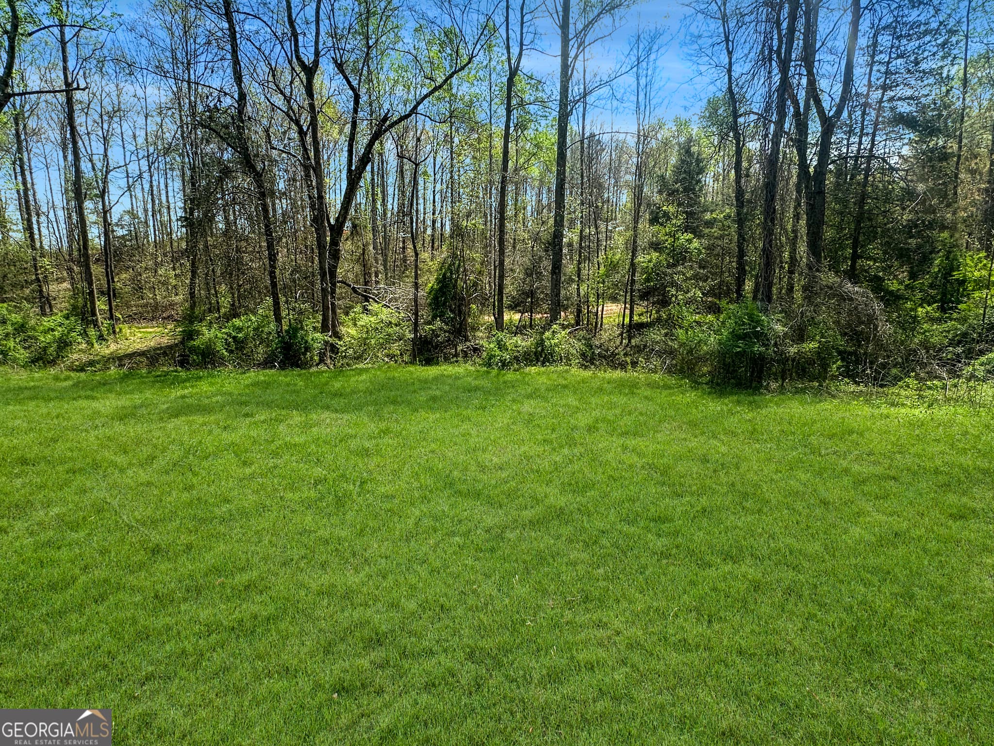 agriculture for sale at 0 Gooseneck Road, Eastanollee, GA 30538 — photo 10