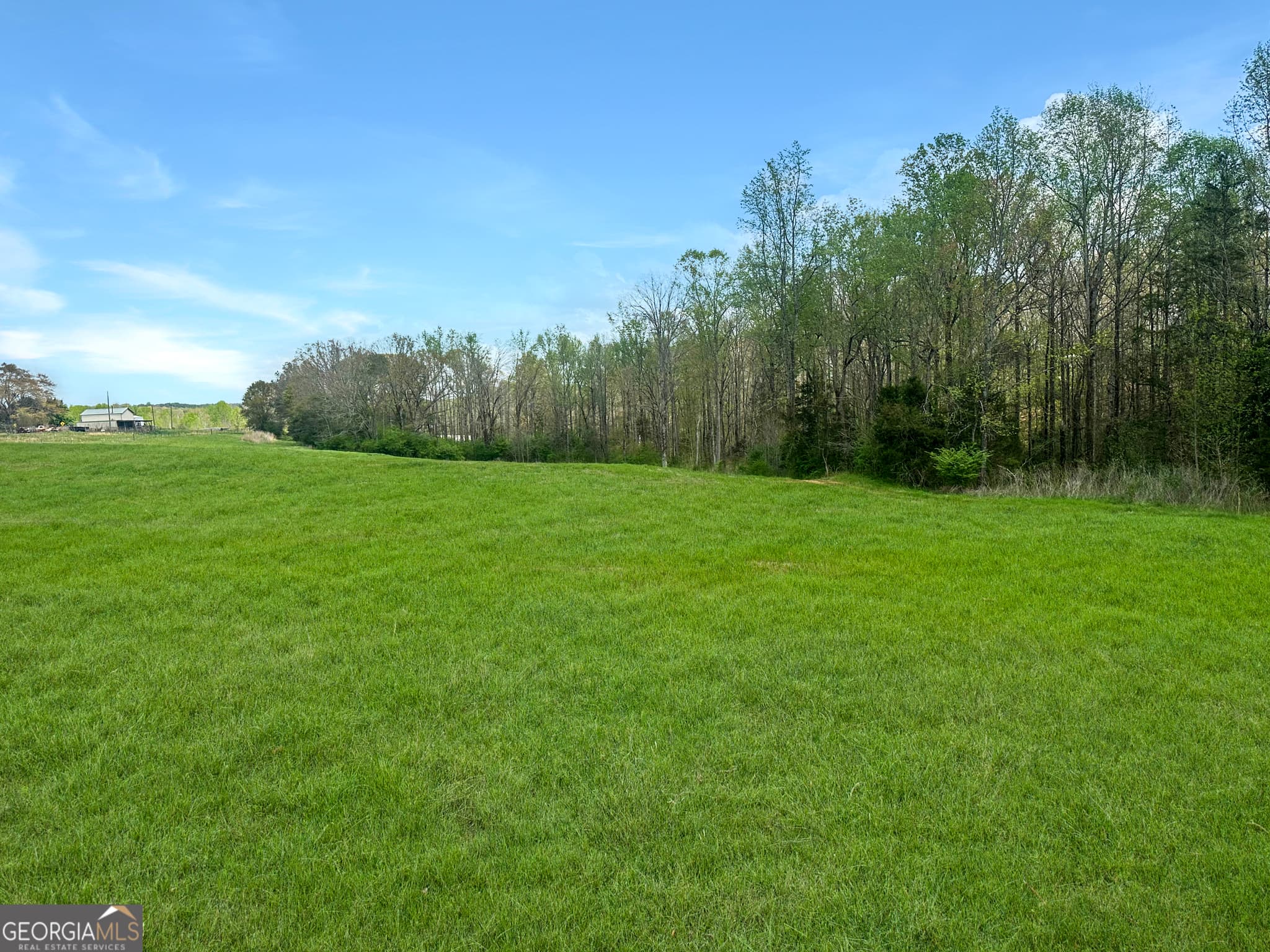 agriculture for sale at 0 Gooseneck Road, Eastanollee, GA 30538 — photo 4