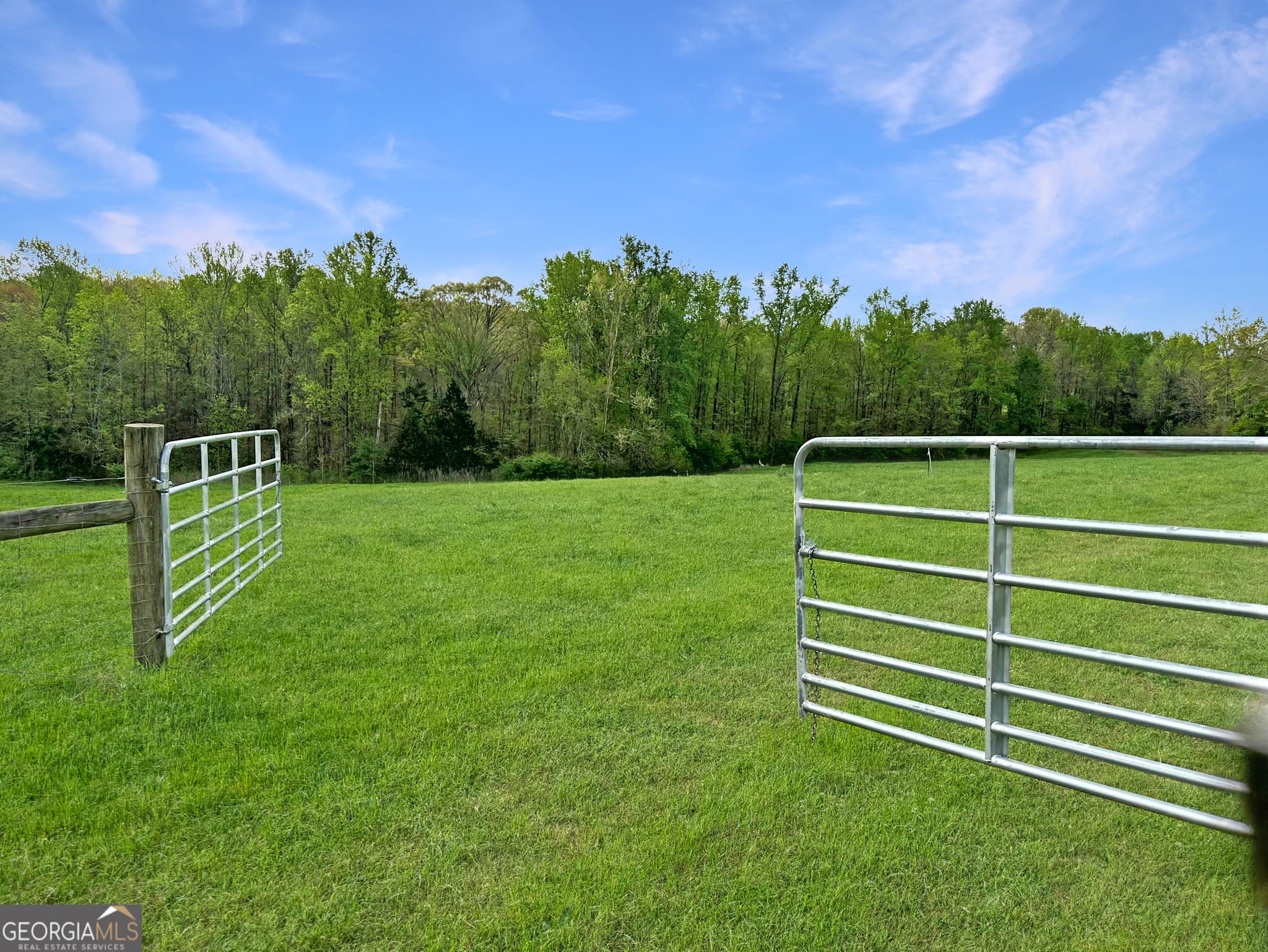 agriculture for sale at 0 Gooseneck Road, Eastanollee, GA 30538 — photo 8