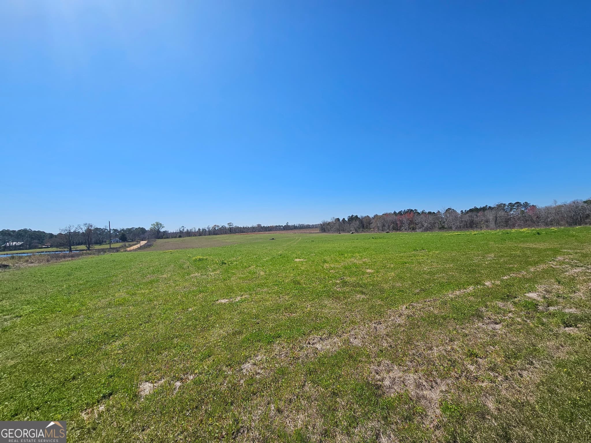 agriculture sold at 0 Collins, Arabi, GA 31712
