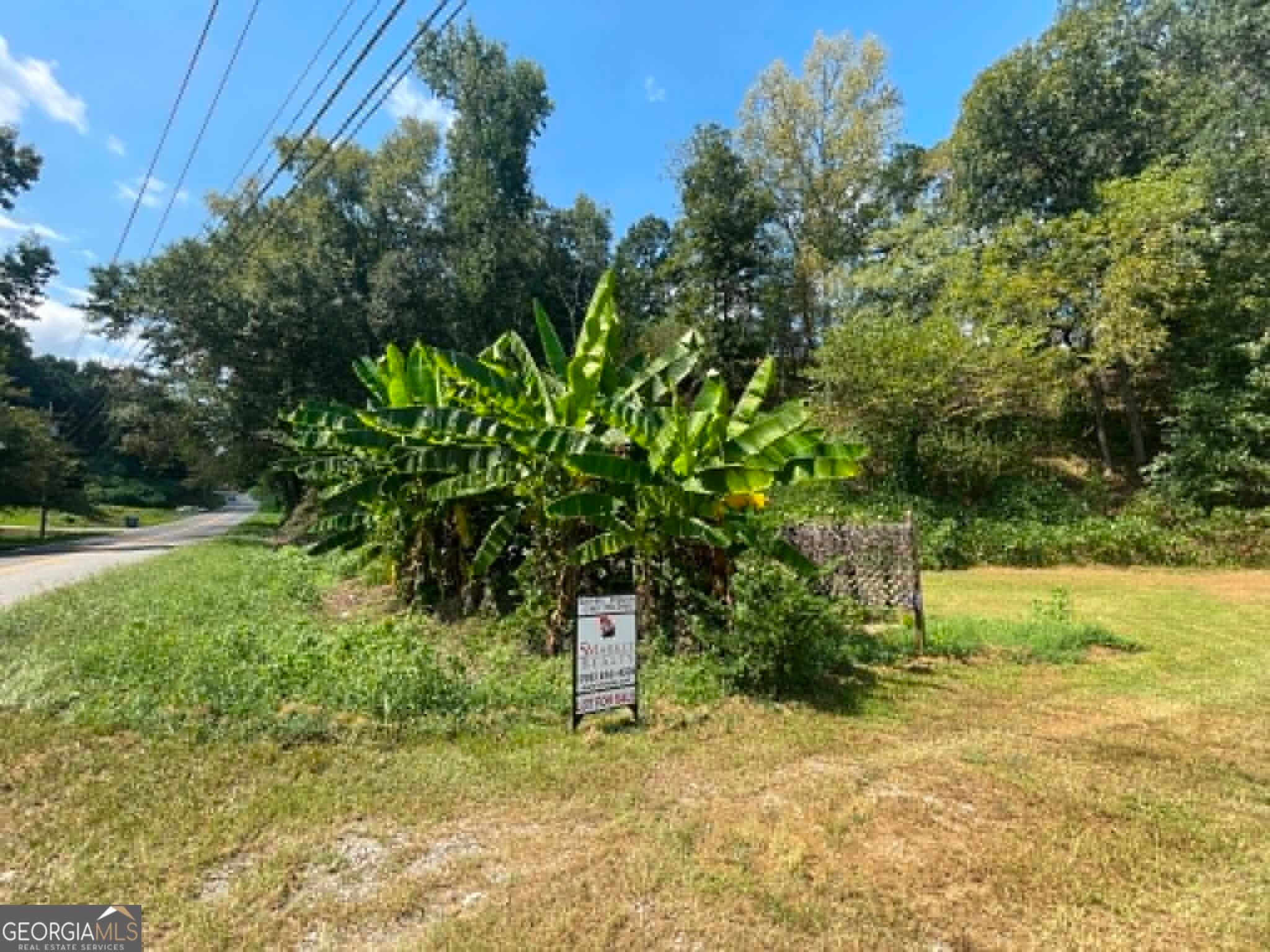 residential lot for sale at 610 Whitehall Road, Athens, GA 30605 — photo 2