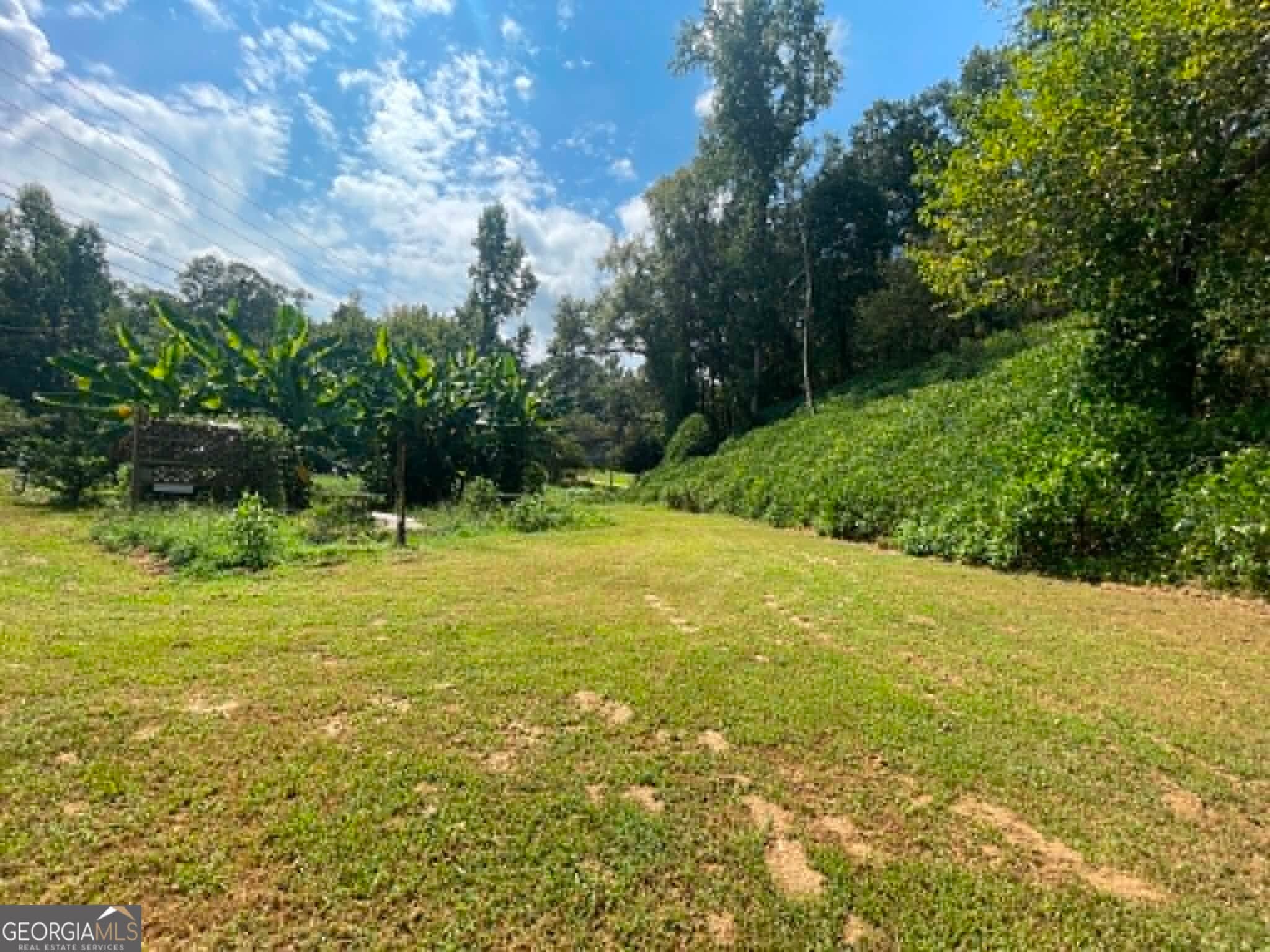 residential lot for sale at 610 Whitehall Road, Athens, GA 30605 — photo 6