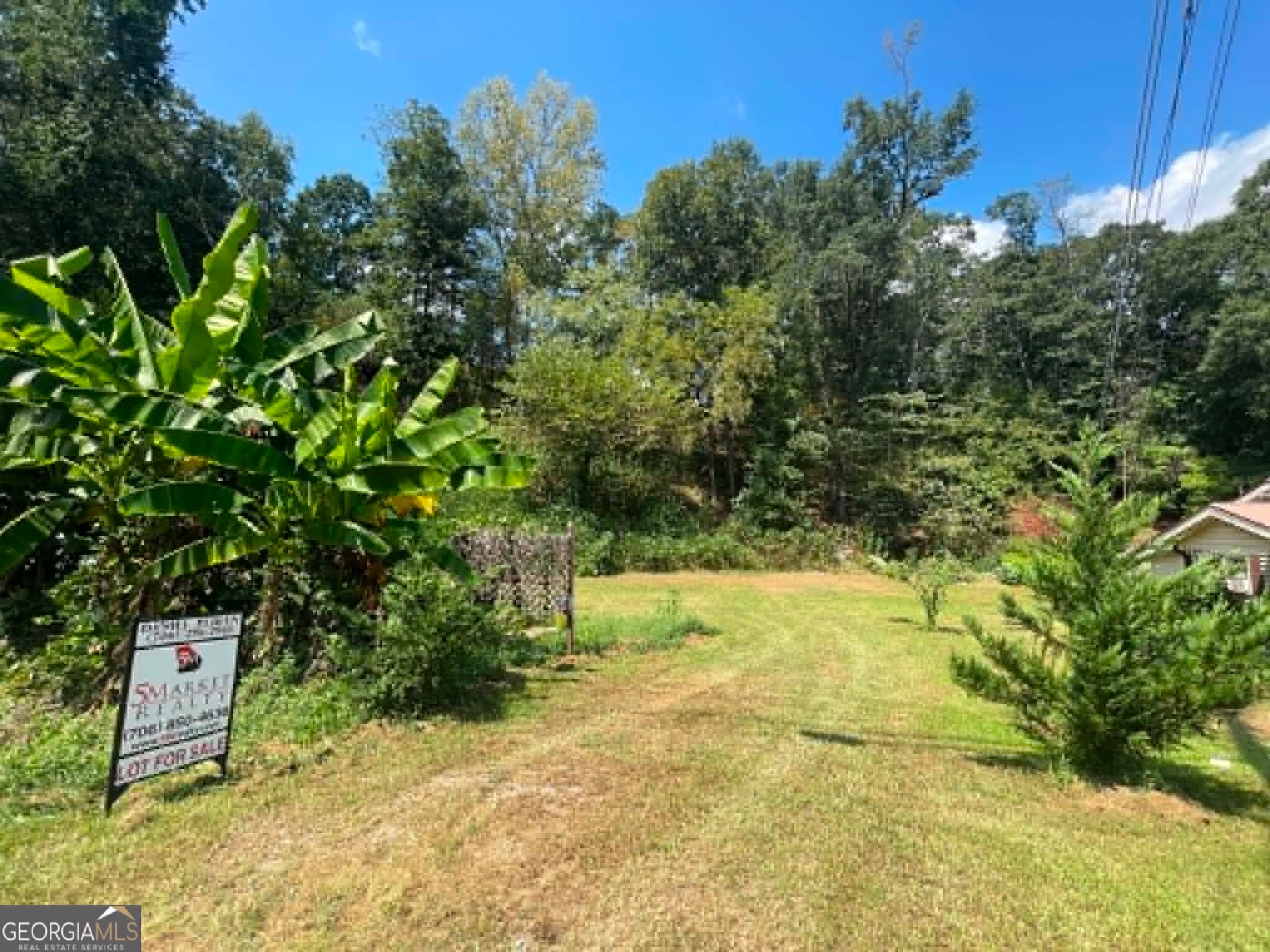 residential lot for sale at 610 Whitehall Road, Athens, GA 30605 — photo 3