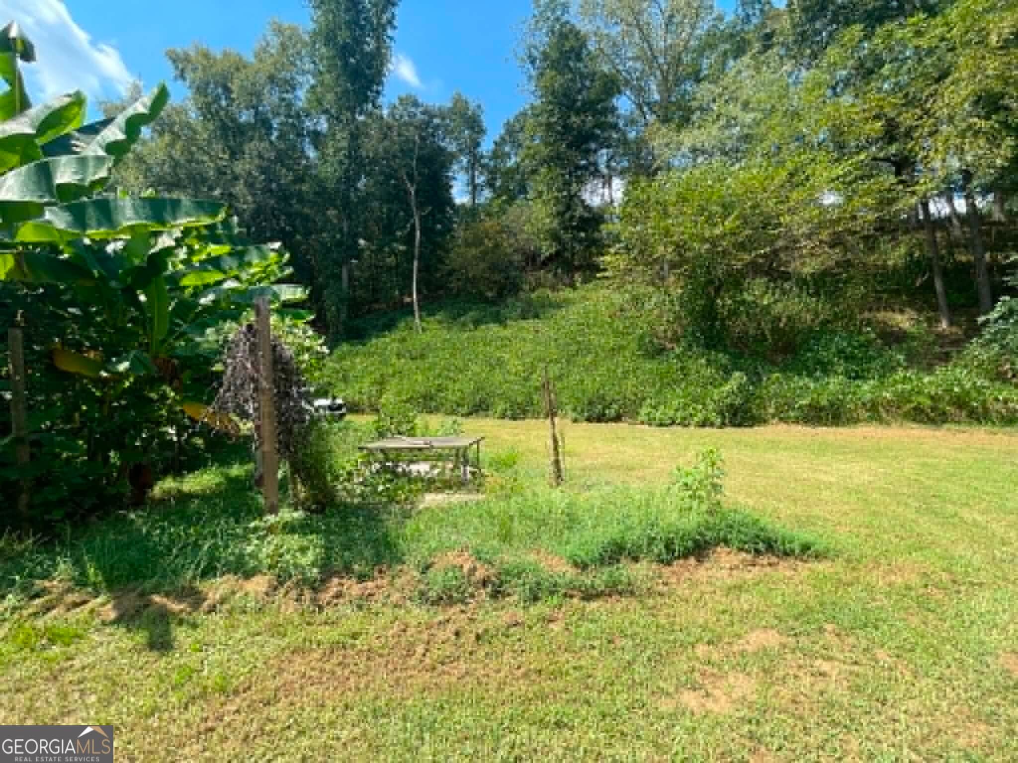 residential lot for sale at 610 Whitehall Road, Athens, GA 30605 — photo 5