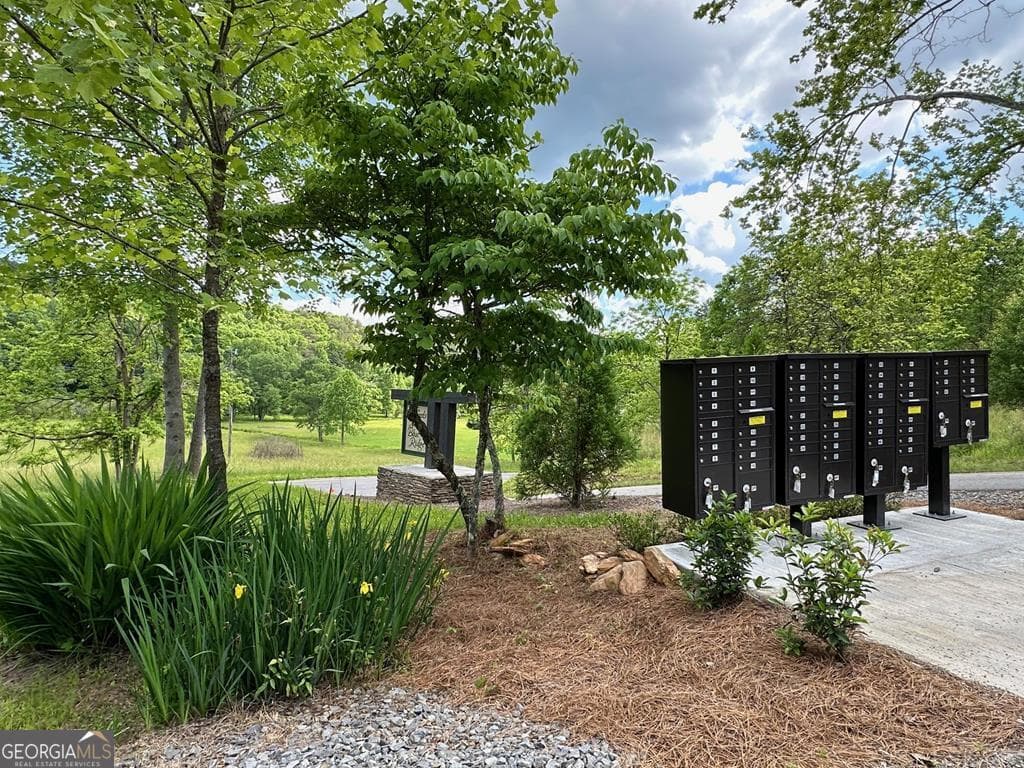 residential lot for sale at LT 12 Mountain Laurel Ridge, Mineral Bluff, GA 30559 — photo 2