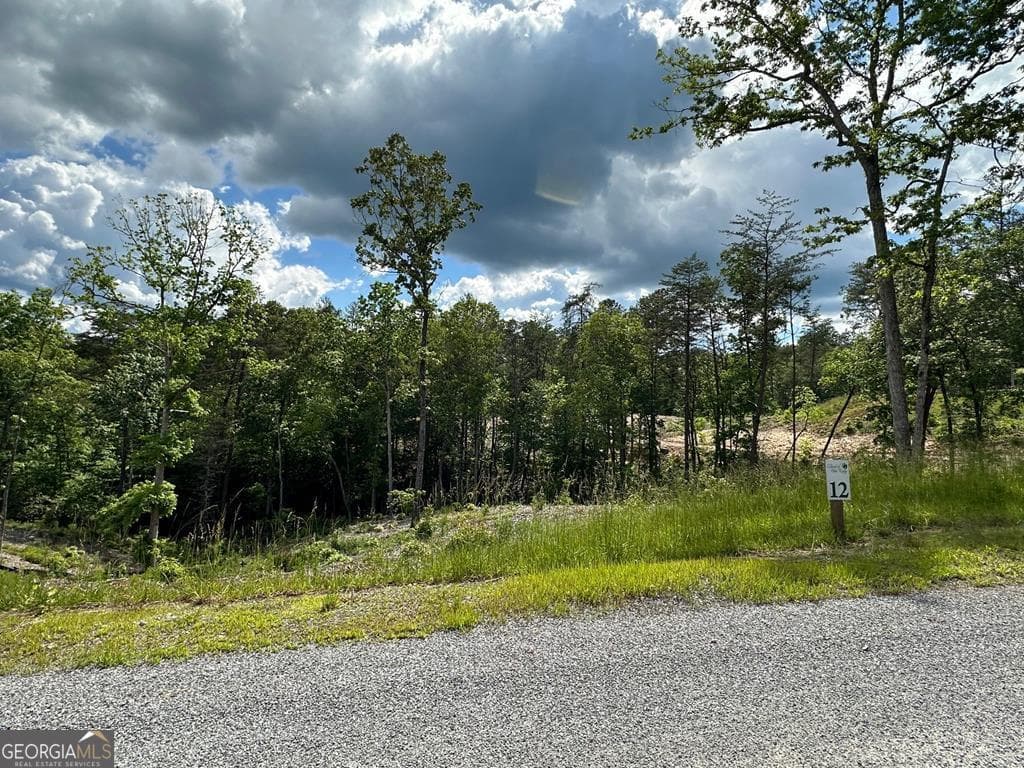 residential lot for sale at LT 12 Mountain Laurel Ridge, Mineral Bluff, GA 30559 — photo 6