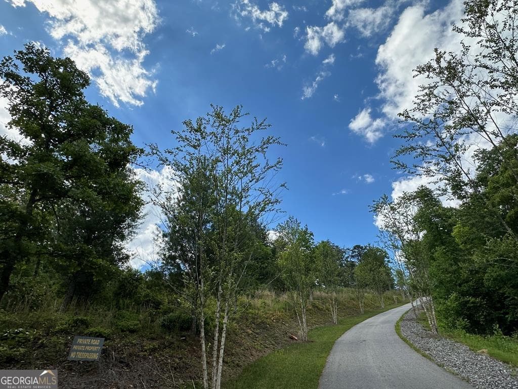 residential lot for sale at LT 12 Mountain Laurel Ridge, Mineral Bluff, GA 30559 — photo 7