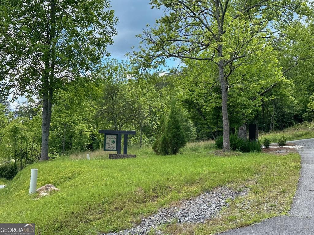 residential lot for sale at LT 12 Mountain Laurel Ridge, Mineral Bluff, GA 30559 — photo 3
