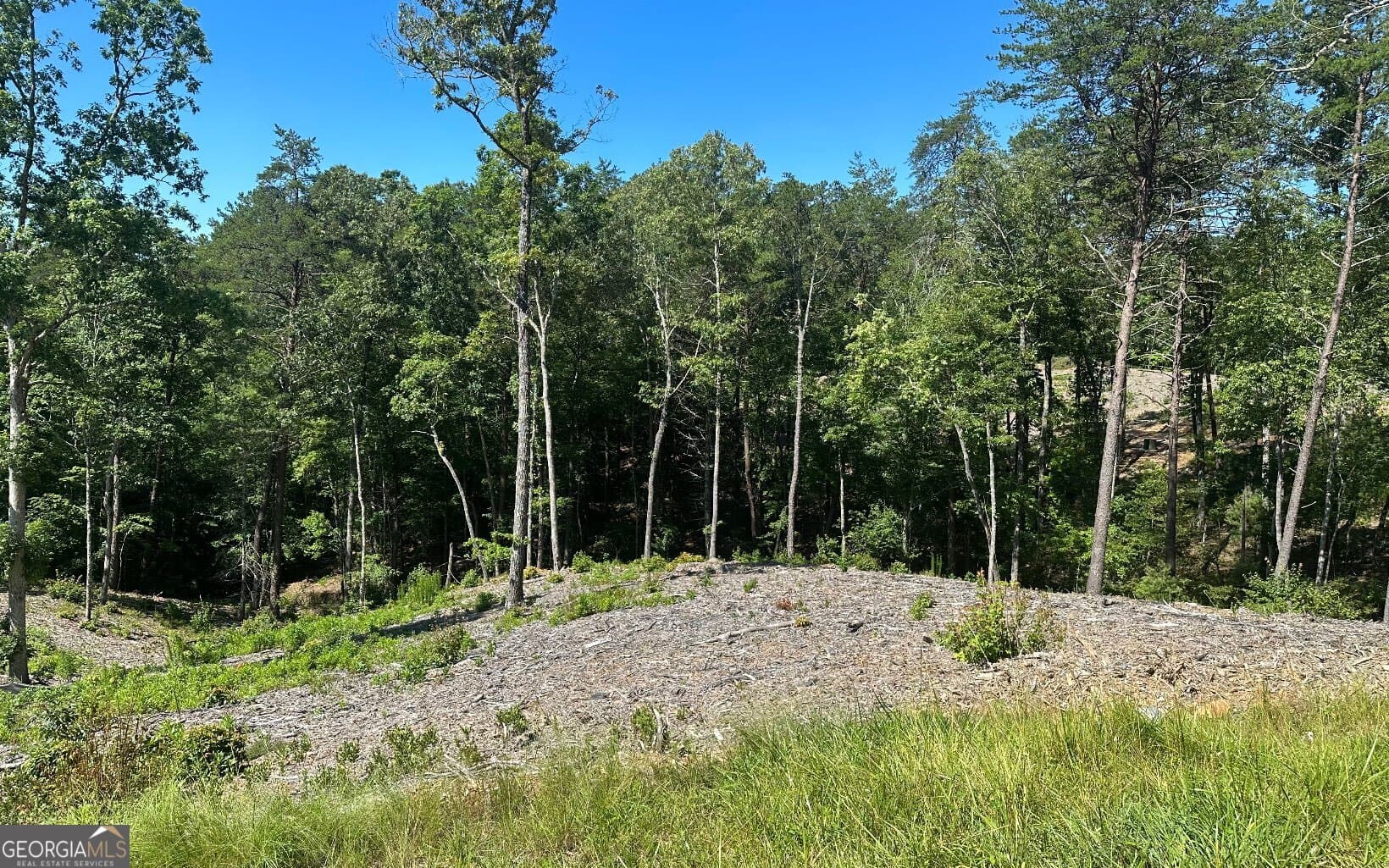 residential lot for sale at LT 12 Mountain Laurel Ridge, Mineral Bluff, GA 30559 — photo 5