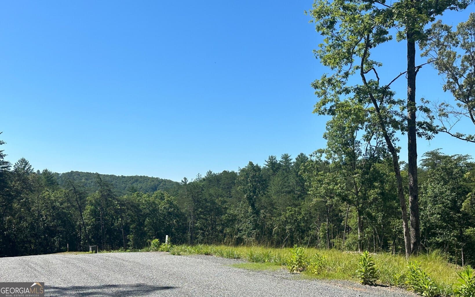 residential lot for sale at LT 12 Mountain Laurel Ridge, Mineral Bluff, GA 30559 — photo 9