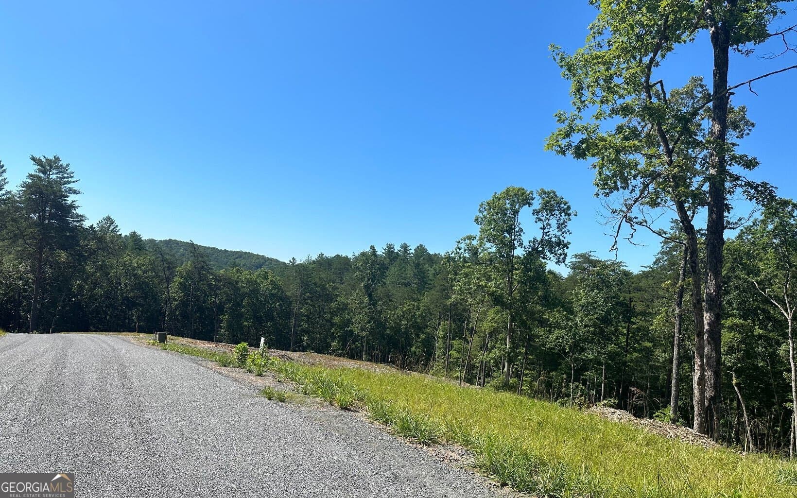 residential lot for sale at LT 12 Mountain Laurel Ridge, Mineral Bluff, GA 30559 — photo 10