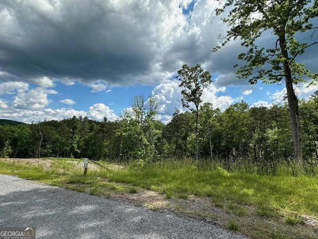 residential lot for sale at LT 12 Mountain Laurel Ridge, Mineral Bluff, GA 30559 — photo 4