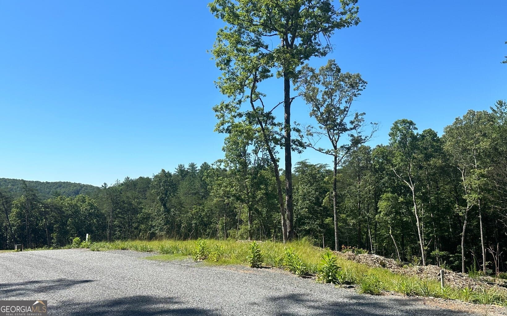 residential lot for sale at LT 12 Mountain Laurel Ridge, Mineral Bluff, GA 30559 — photo 8