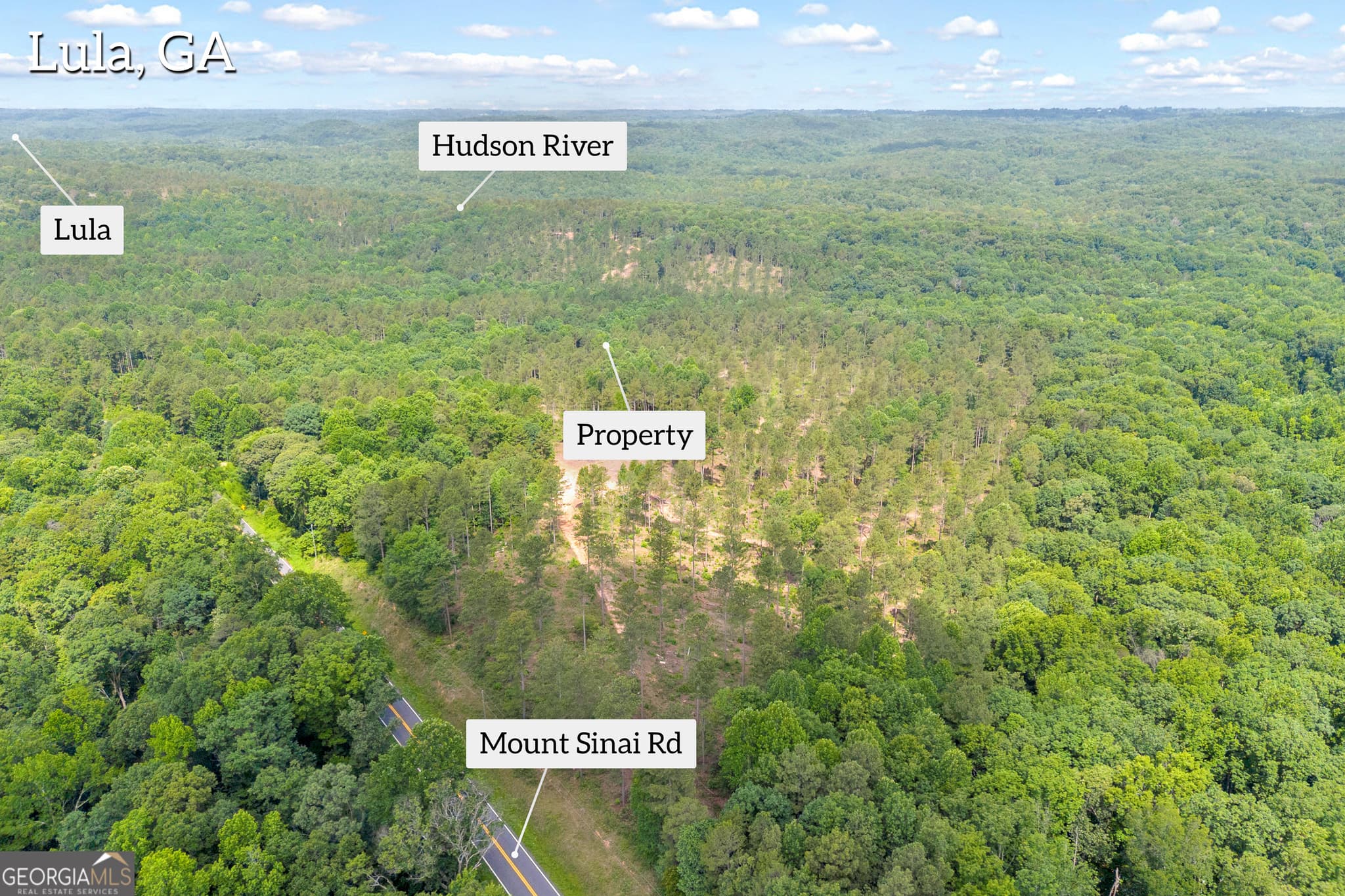 unimproved land for sale at 0 Mt. Sinai LOT 4, Lula, GA 30554 — photo 6