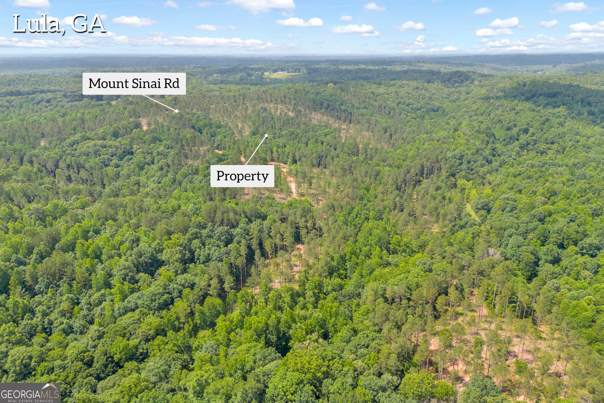unimproved land for sale at 0 Mt. Sinai LOT 4, Lula, GA 30554 — photo 7