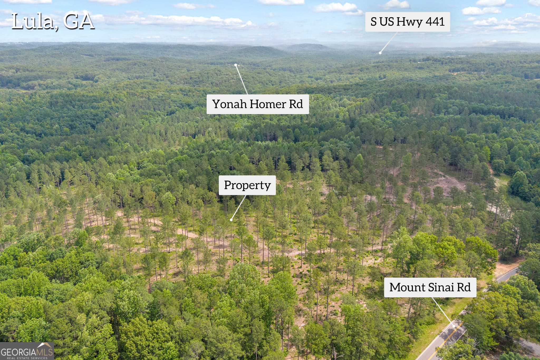 unimproved land for sale at 0 Mt. Sinai LOT 4, Lula, GA 30554 — photo 5