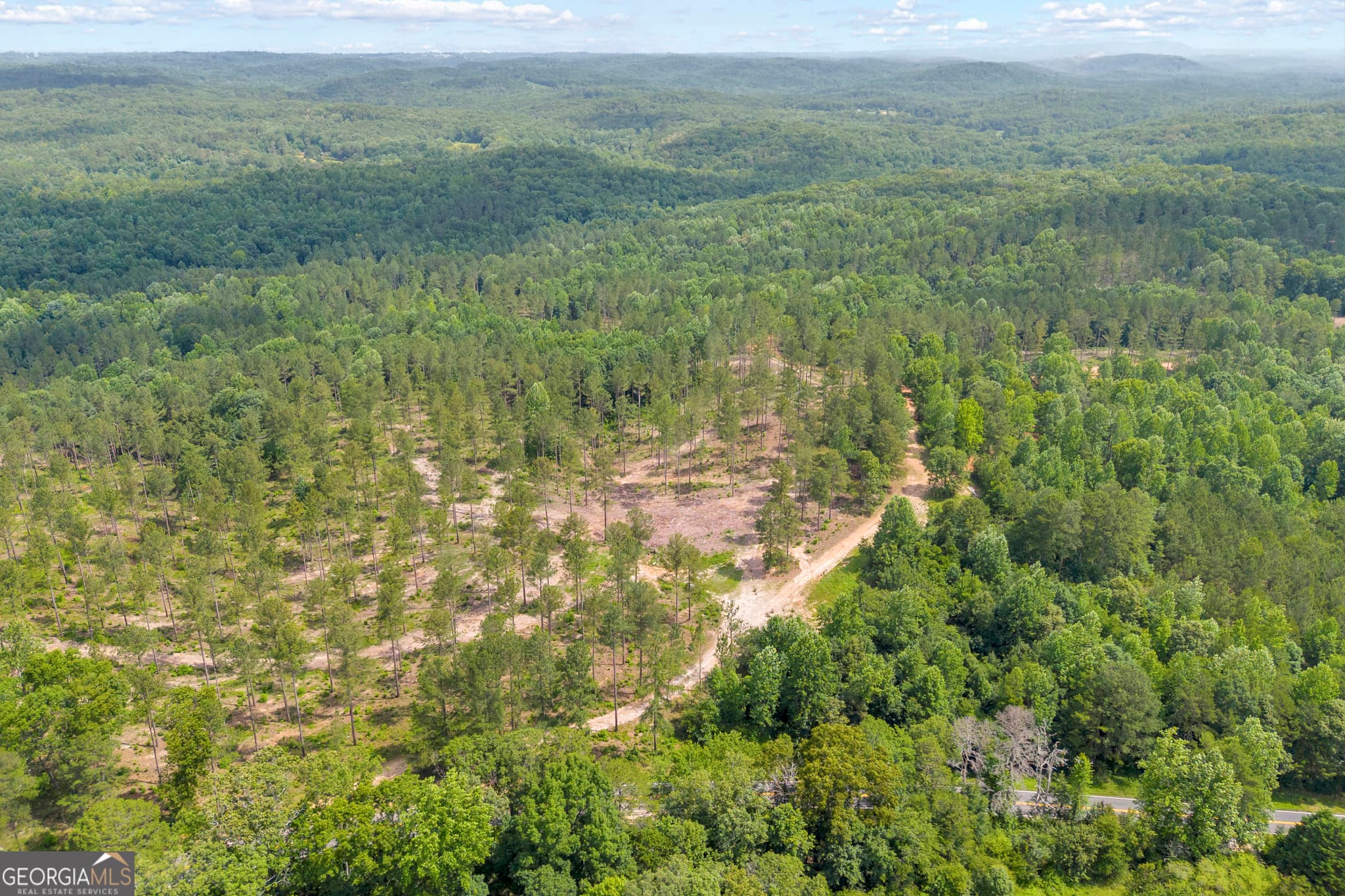 unimproved land for sale at 0 Mt. Sinai LOT 4, Lula, GA 30554 — photo 9