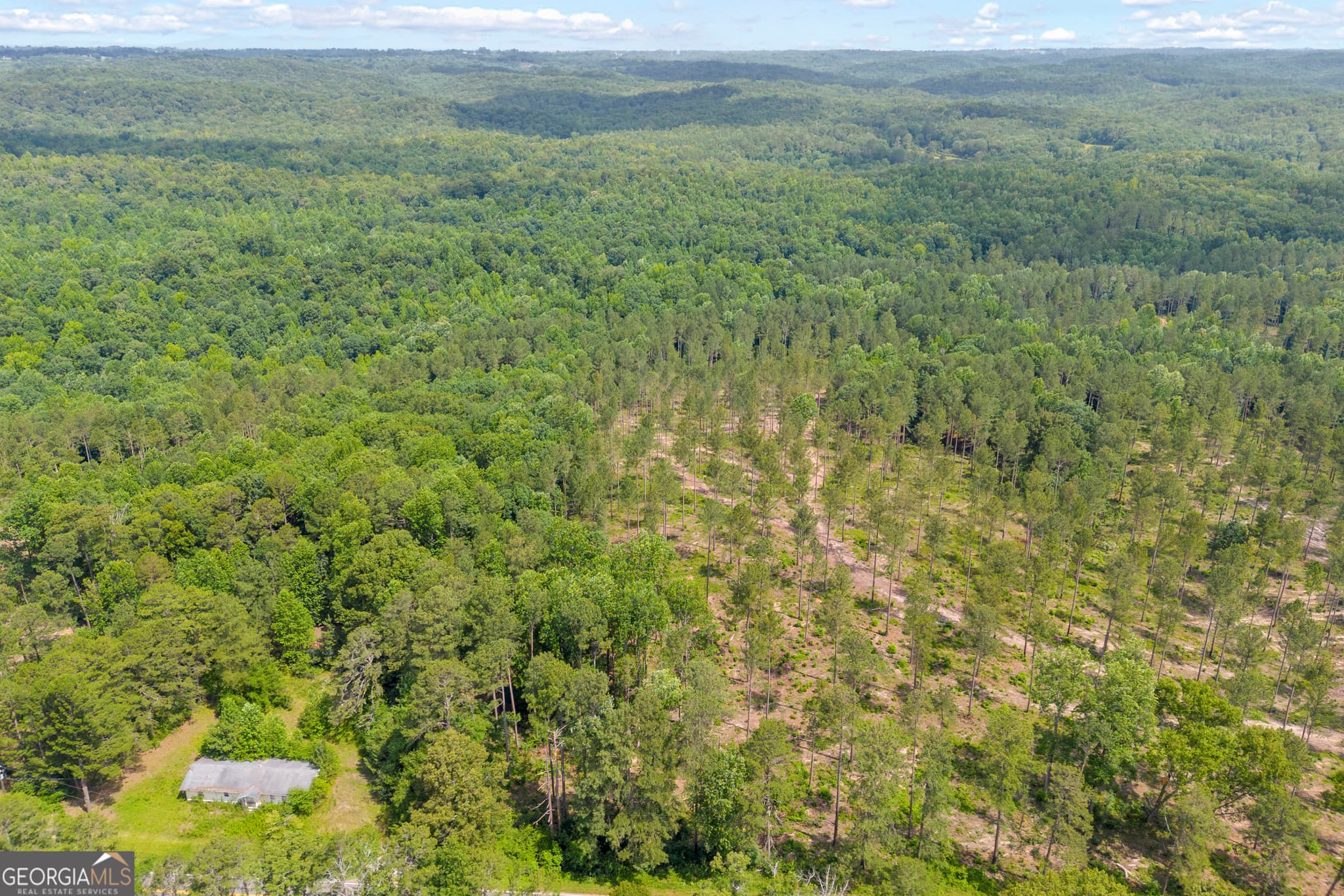 unimproved land for sale at 0 Mt. Sinai LOT 4, Lula, GA 30554 — photo 10